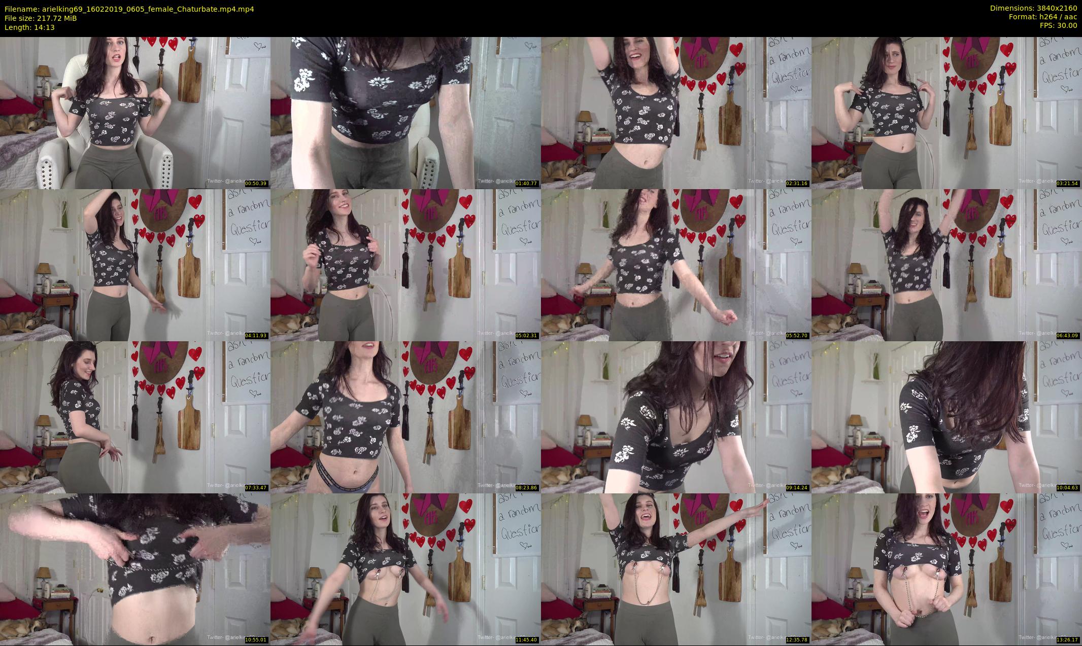 arielking69 — 15 minute Chaturbate female cam show recording, 4K, Feb 16, 2019
