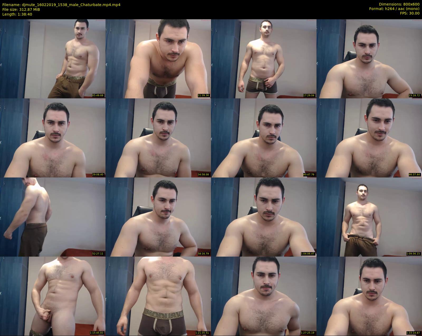 djmute — 99 minute Chaturbate male cam show recording, 480p, Feb 16, 2019