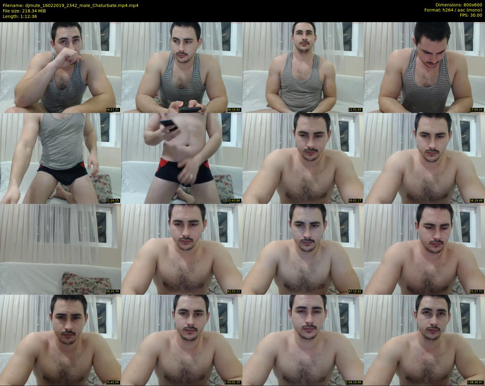 djmute — 73 minute Chaturbate male cam show recording, 480p, Feb 16, 2019
