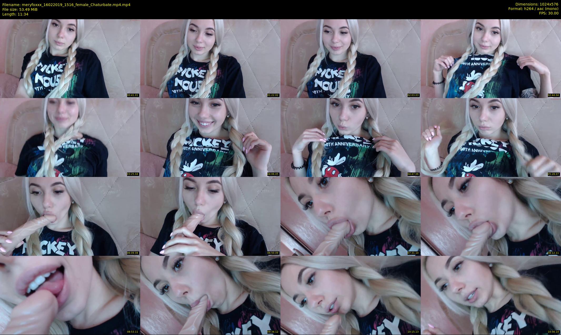 meryfoxxx — 12 minute Chaturbate female cam show recording, 480p, Feb 16, 2019