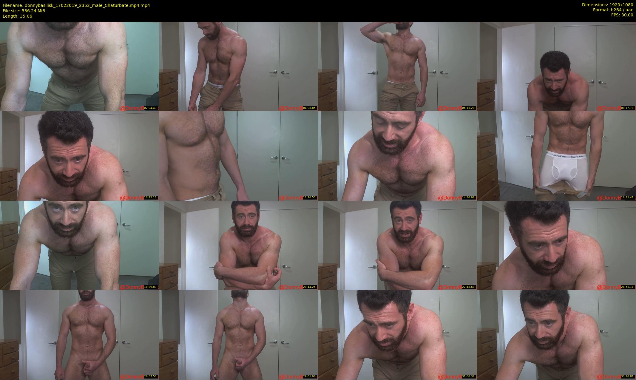 donnybasilisk — 36 minute Chaturbate male cam show recording, 1080p, Feb 17, 2019