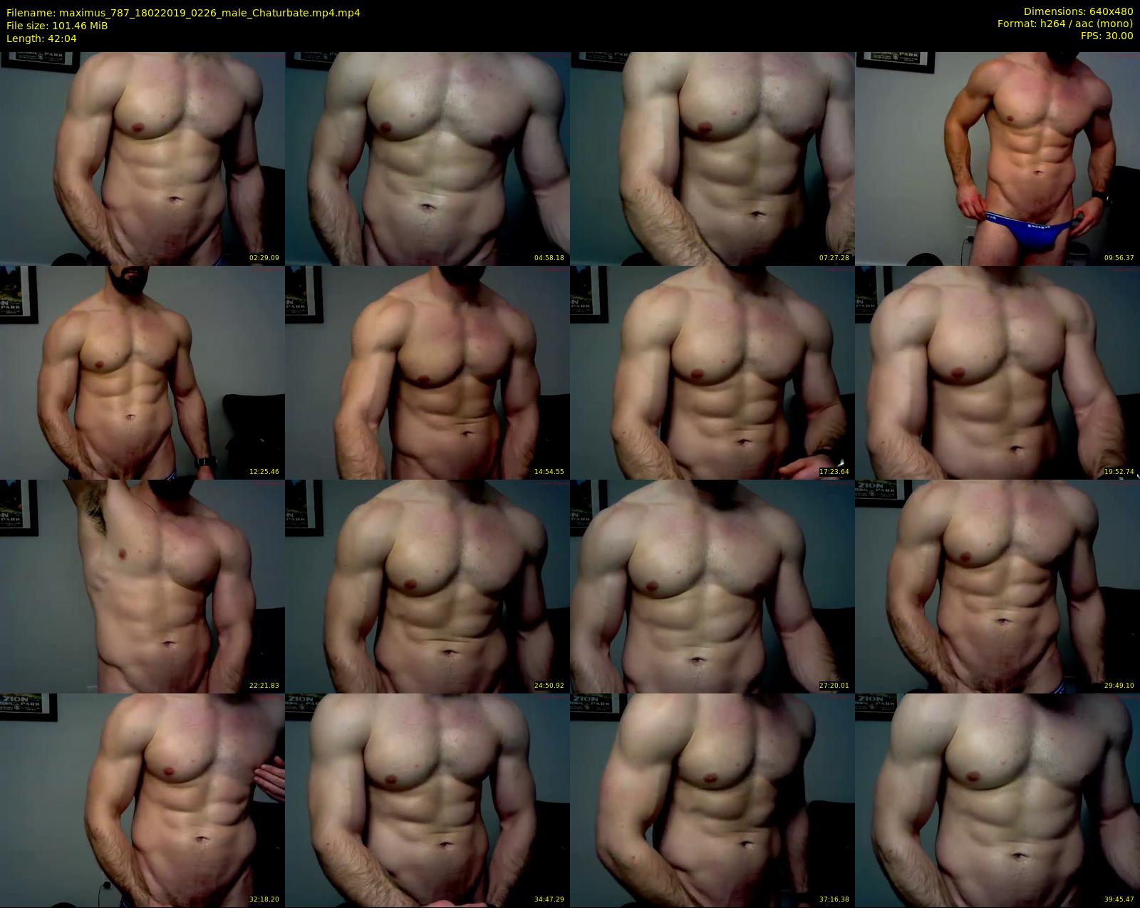 maximus_787 — 43 minute Chaturbate male cam show recording, 480p, Feb 18, 2019