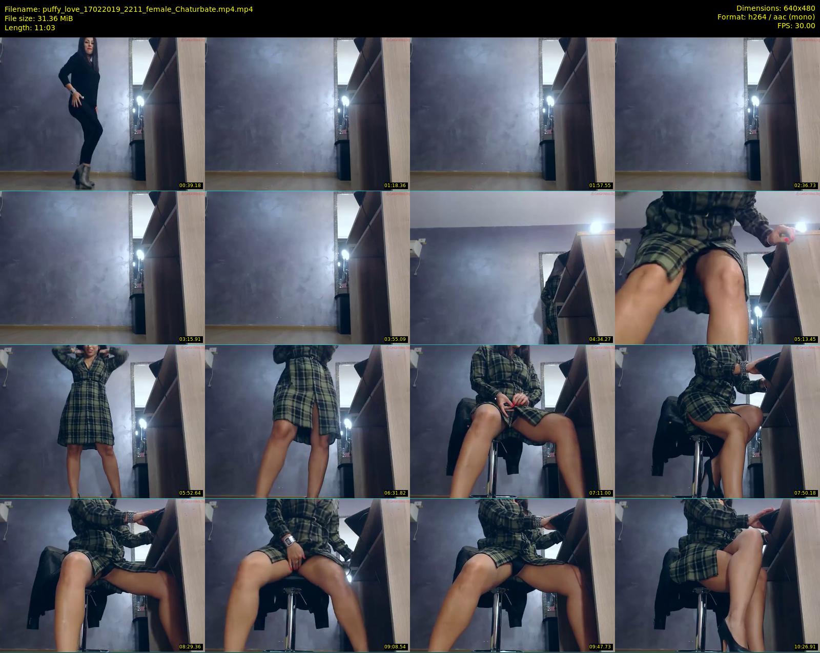 puffy_love — 12 minute Chaturbate female cam show recording, 480p, Feb 17, 2019
