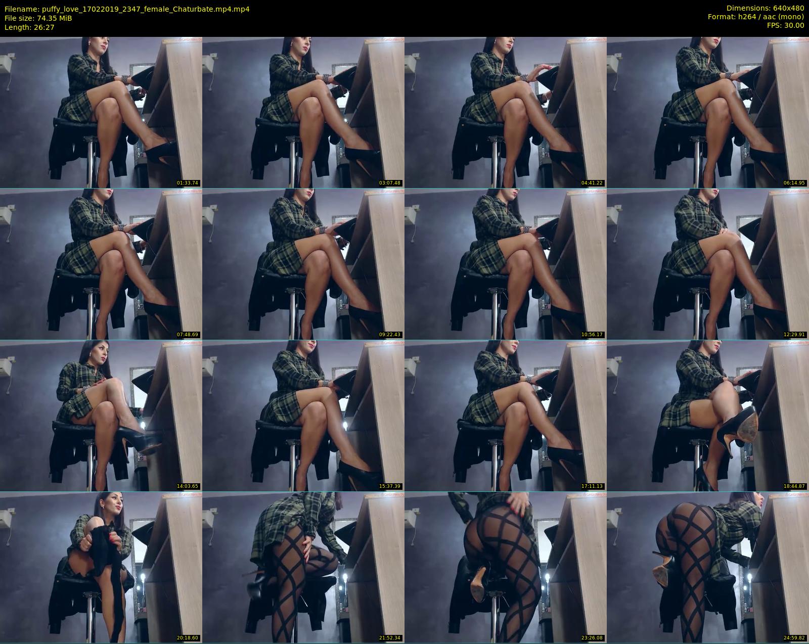puffy_love — 27 minute Chaturbate female cam show recording, 480p, Feb 17, 2019