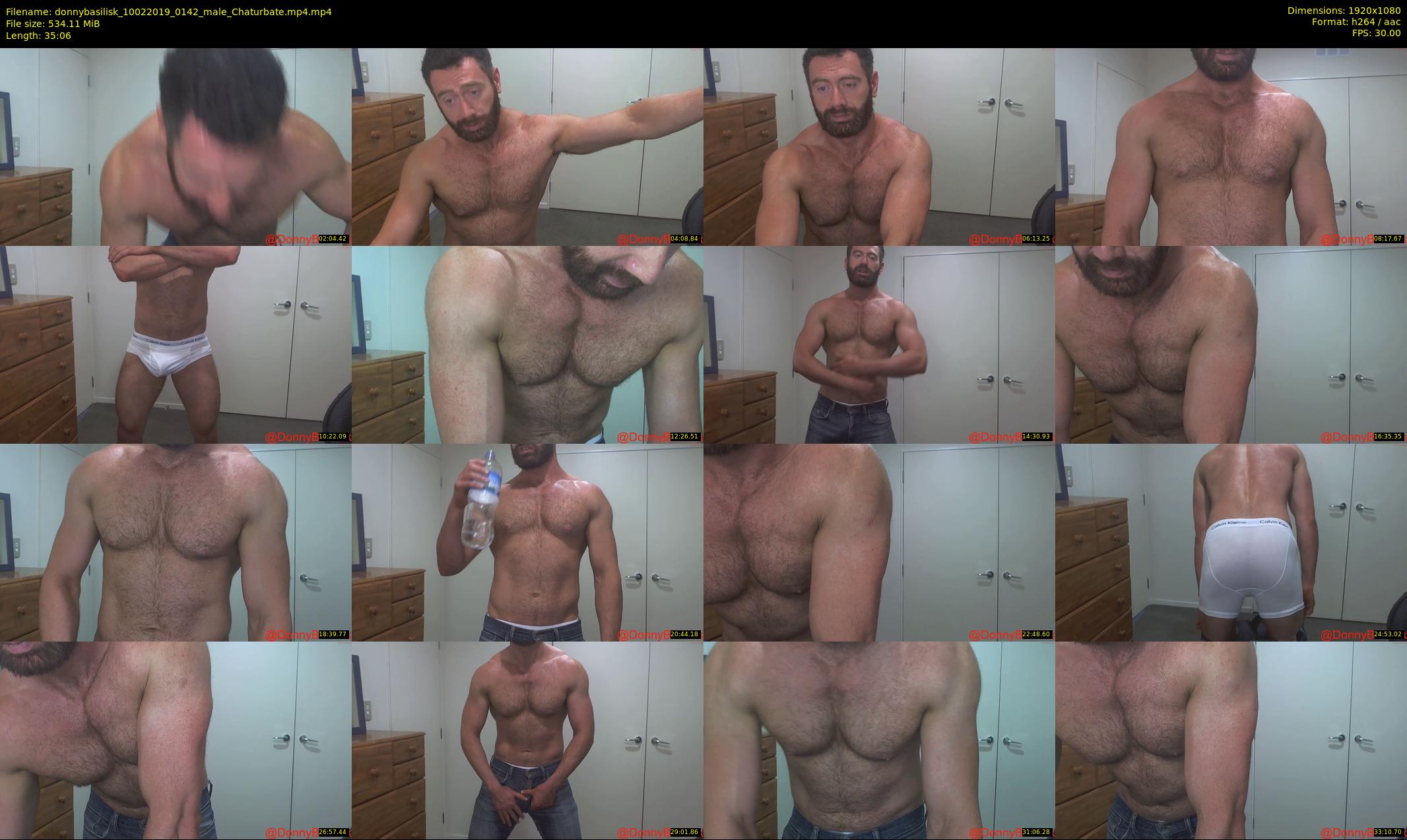 donnybasilisk — 36 minute Chaturbate male cam show recording, 1080p, Feb 10, 2019