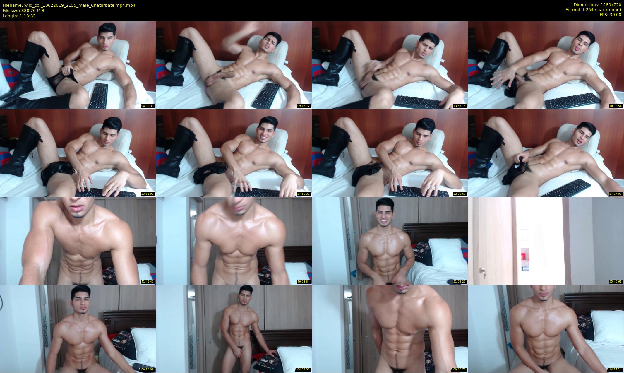 wild_col — 79 minute Chaturbate male cam show recording, 720p, Feb 10, 2019