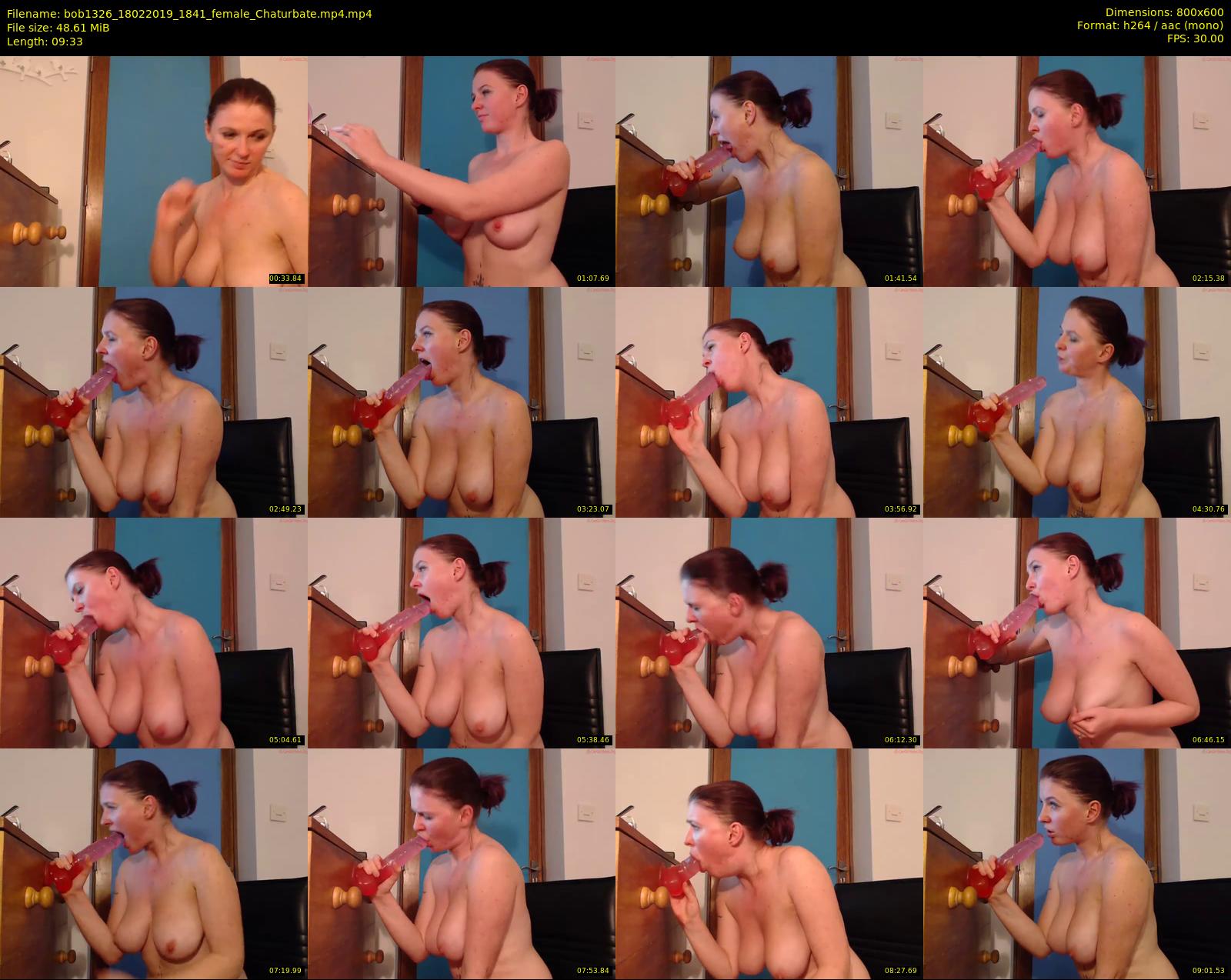 bob1326 — 10 minute Chaturbate female cam show recording, 480p, Feb 18, 2019