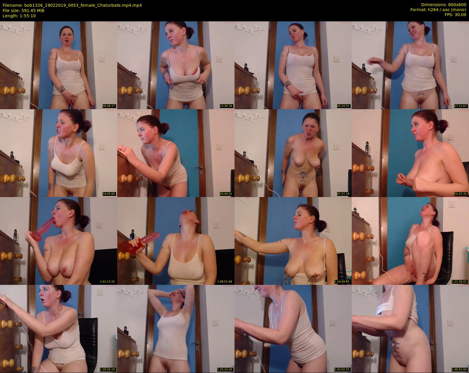 bob1326 — 116 minute Chaturbate female cam show recording, 480p, Feb 19, 2019