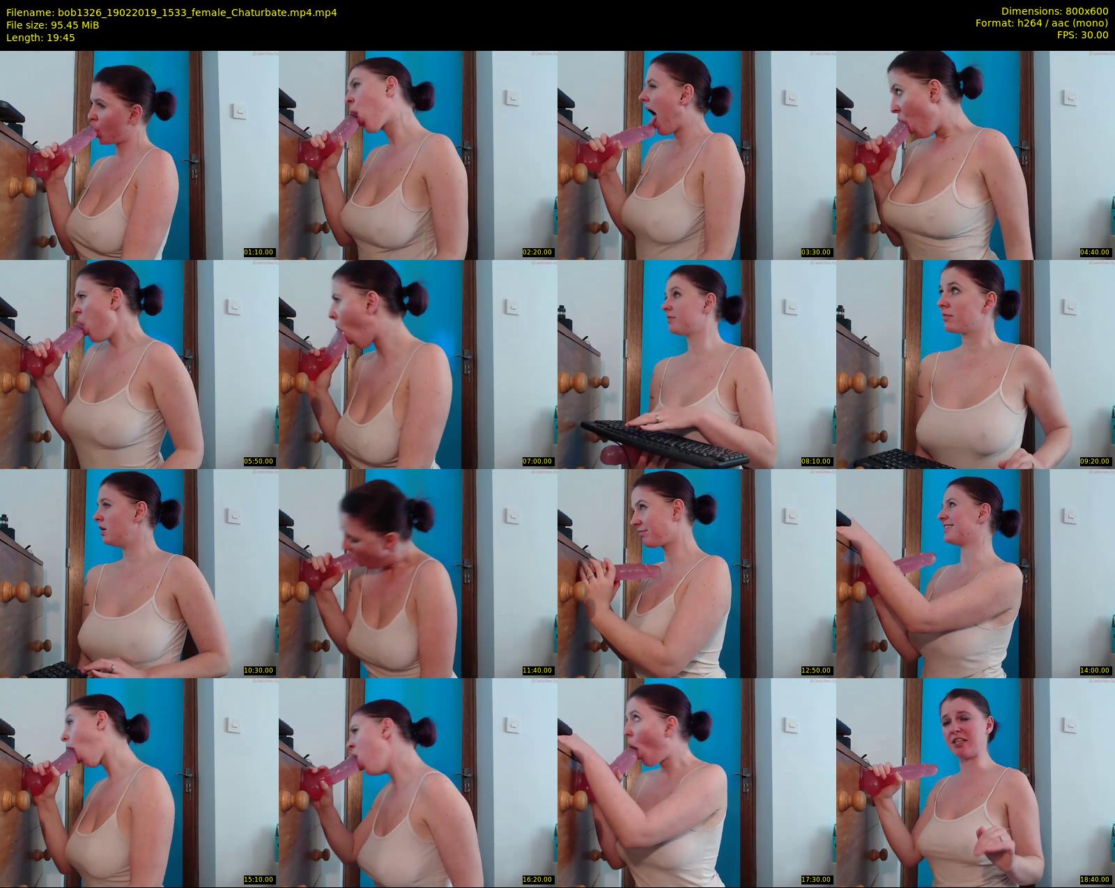 bob1326 — 20 minute Chaturbate female cam show recording, 480p, Feb 19, 2019
