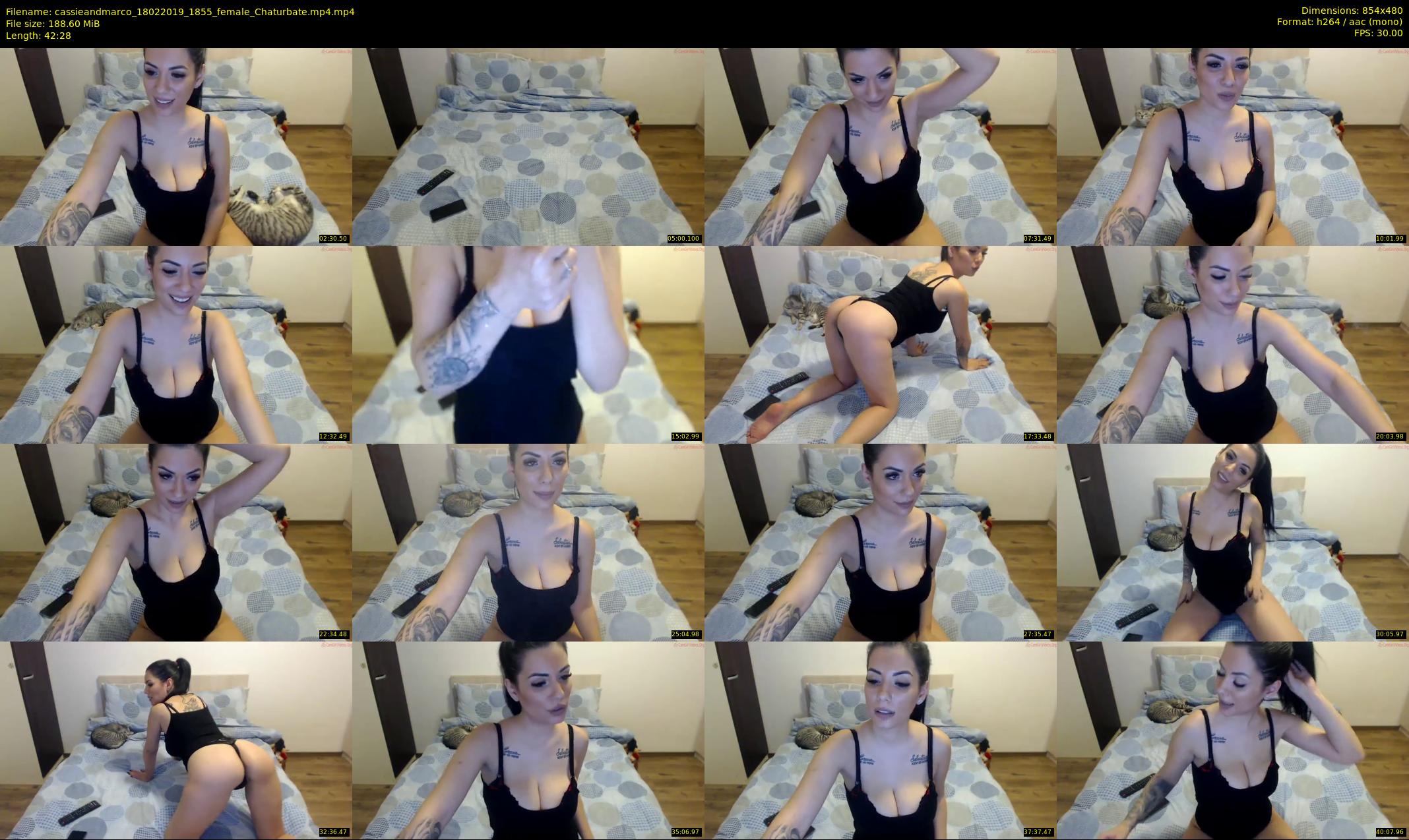 cassieandmarco — 43 minute Chaturbate female cam show recording, 480p, Feb 18, 2019