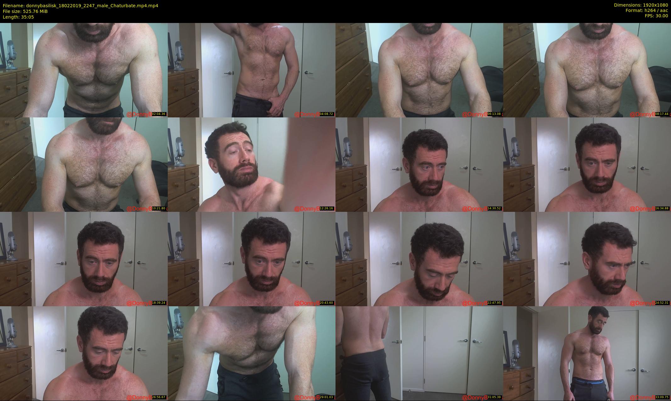 donnybasilisk — 36 minute Chaturbate male cam show recording, 1080p, Feb 18, 2019
