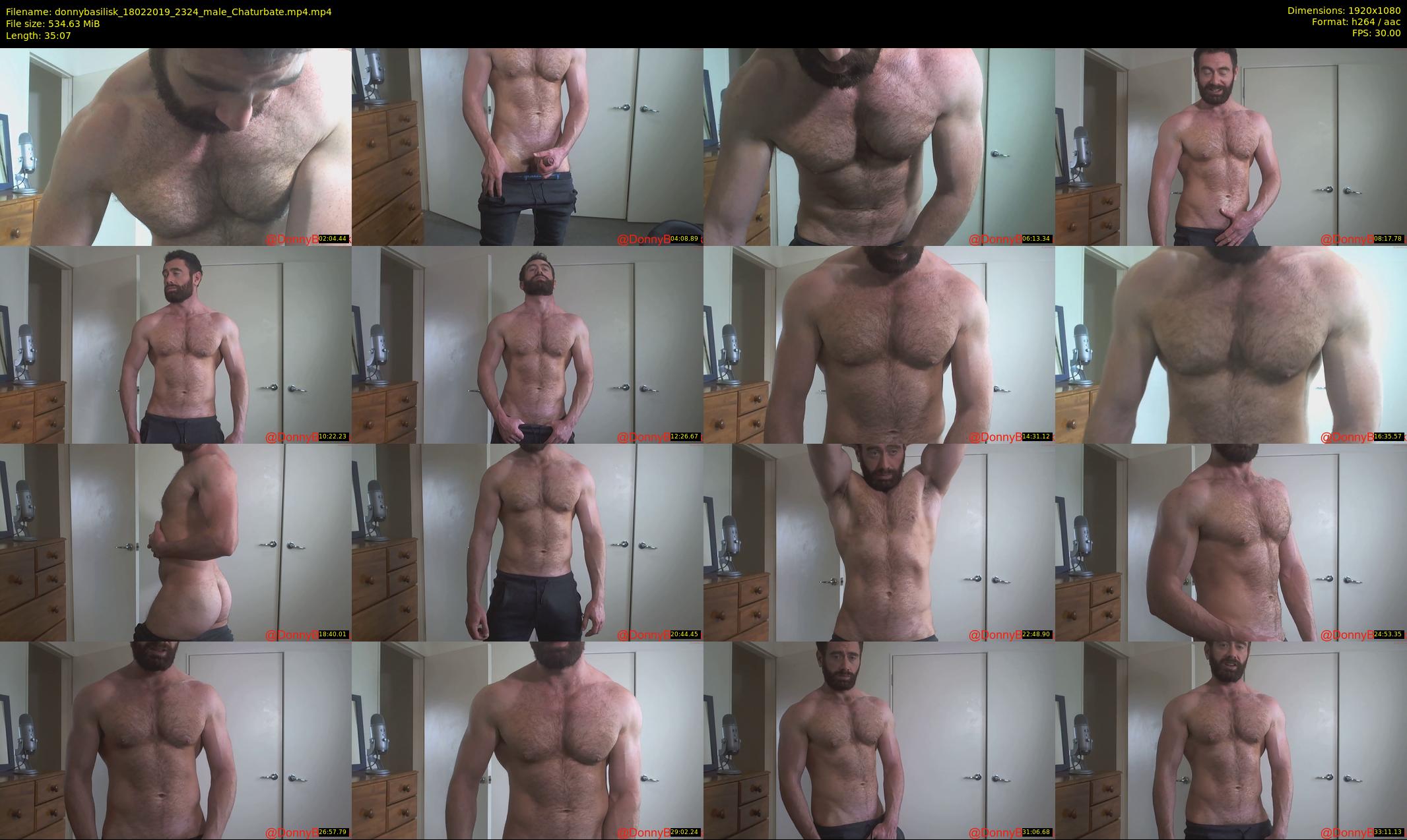 donnybasilisk — 36 minute Chaturbate male cam show recording, 1080p, Feb 18, 2019