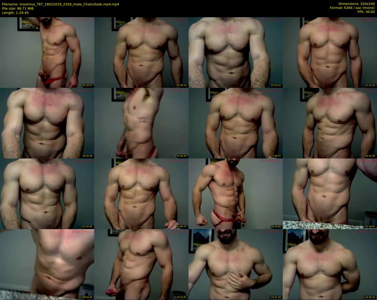 maximus_787 — 90 minute Chaturbate male cam show recording, SD, Feb 18, 2019