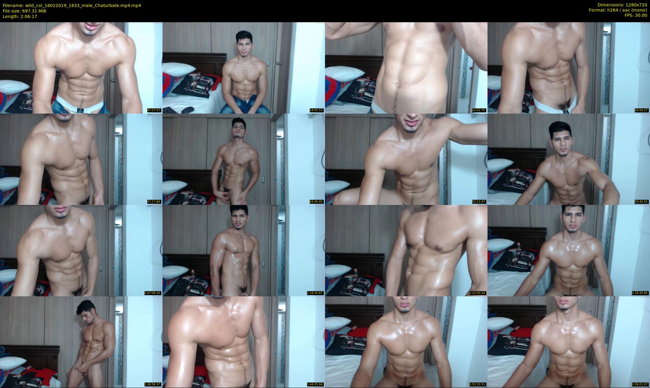 wild_col — 127 minute Chaturbate male cam show recording, 720p, Feb 18, 2019