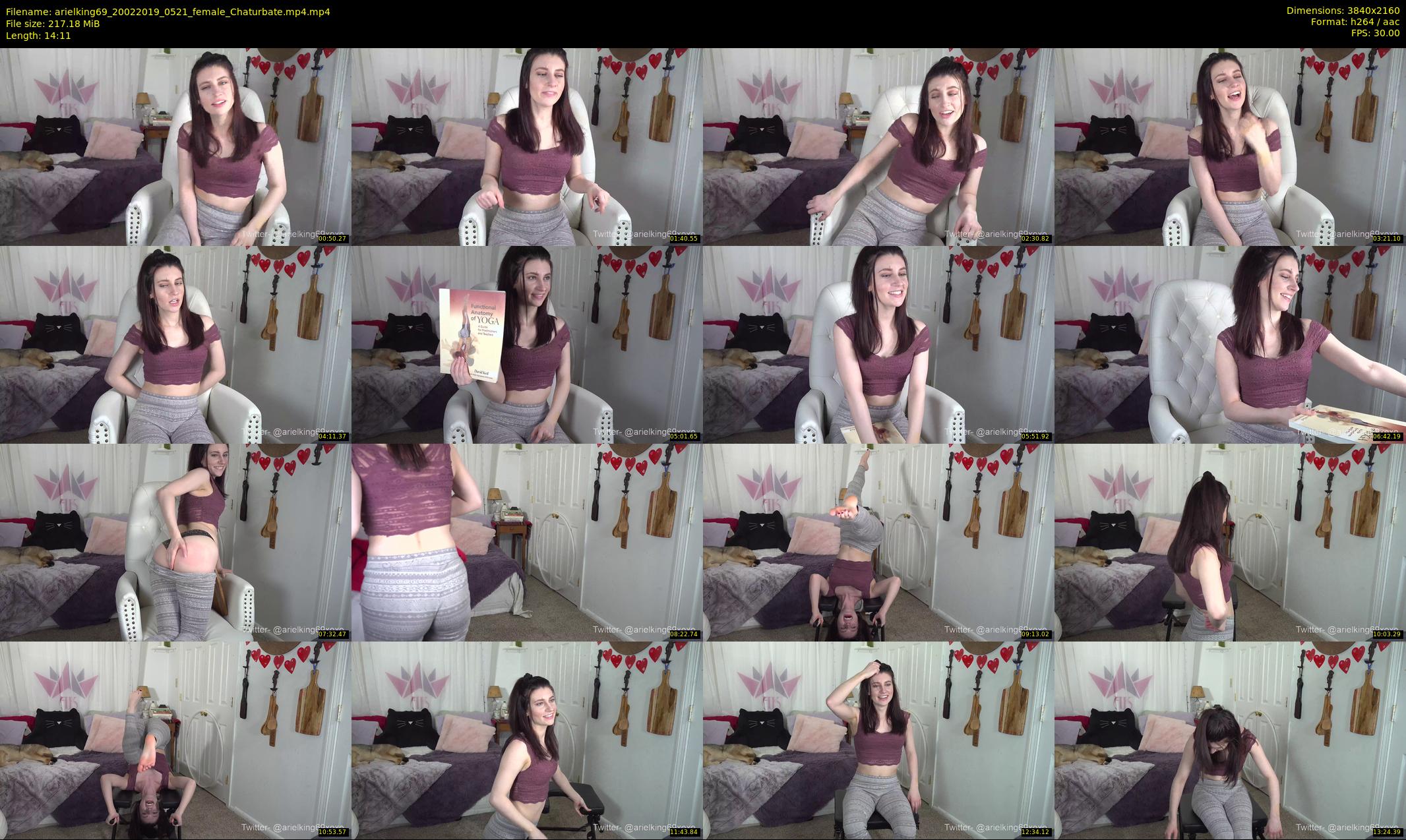 arielking69 — 15 minute Chaturbate female cam show recording, 4K, Feb 20, 2019
