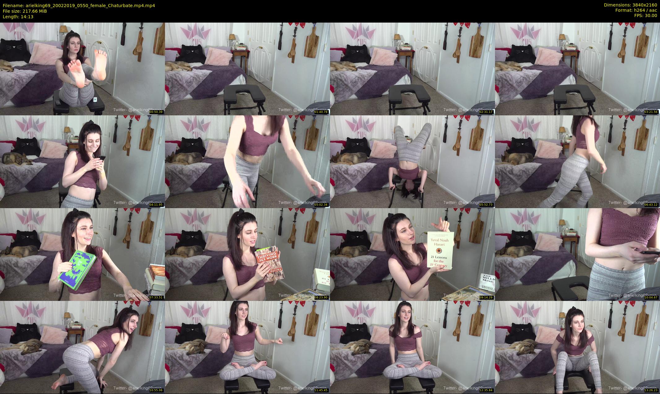 arielking69 — 15 minute Chaturbate female cam show recording, 4K, Feb 20, 2019