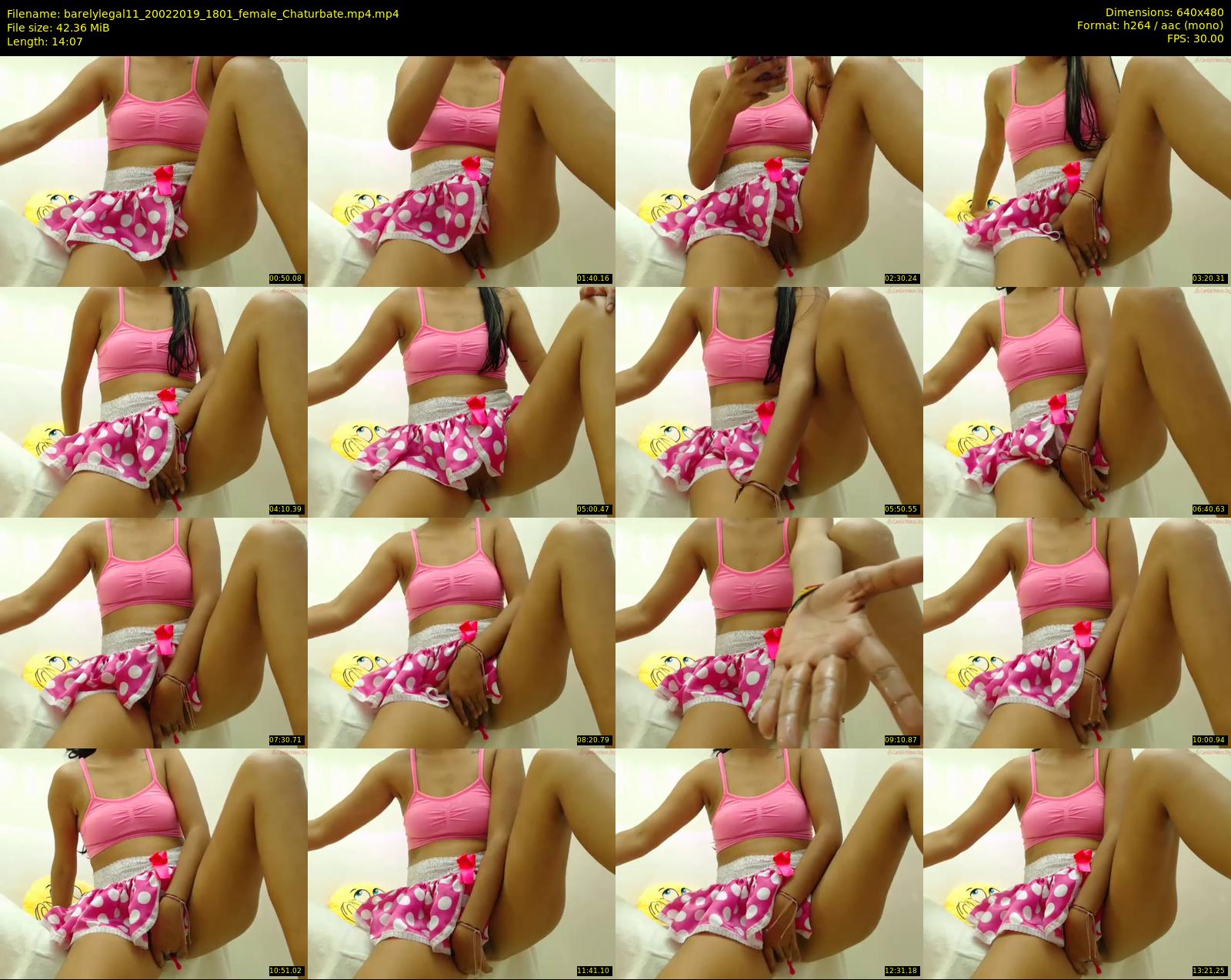 barelylegal11 — 15 minute Chaturbate female cam show recording, 480p, Feb 20, 2019