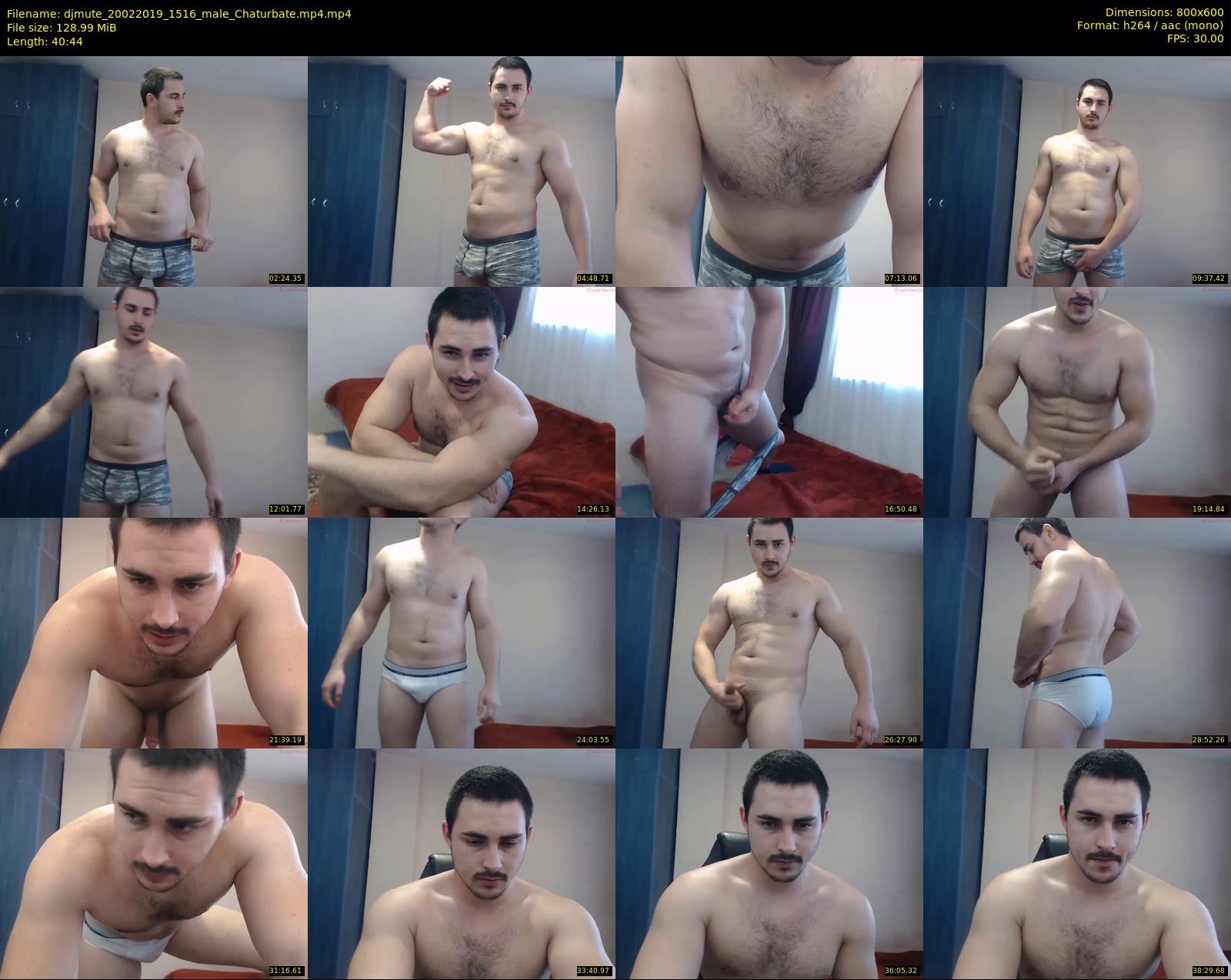 djmute — 41 minute Chaturbate male cam show recording, 480p, Feb 20, 2019