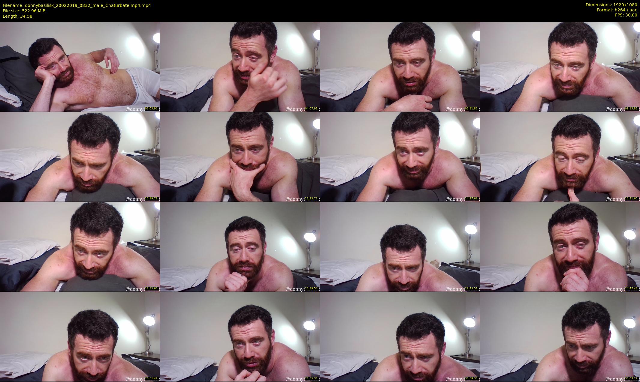donnybasilisk — 35 minute Chaturbate male cam show recording, 1080p, Feb 20, 2019