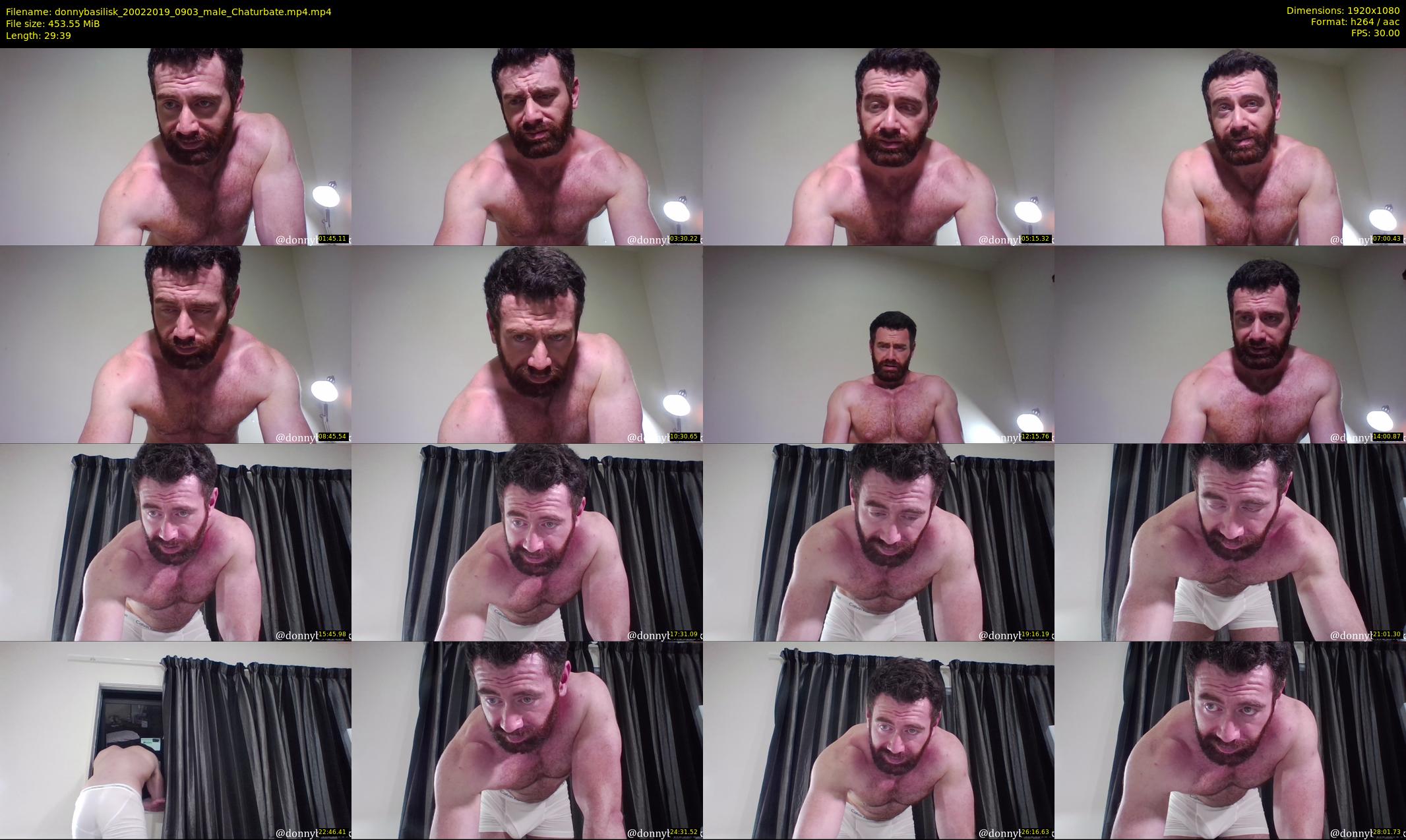 donnybasilisk — 30 minute Chaturbate male cam show recording, 1080p, Feb 20, 2019