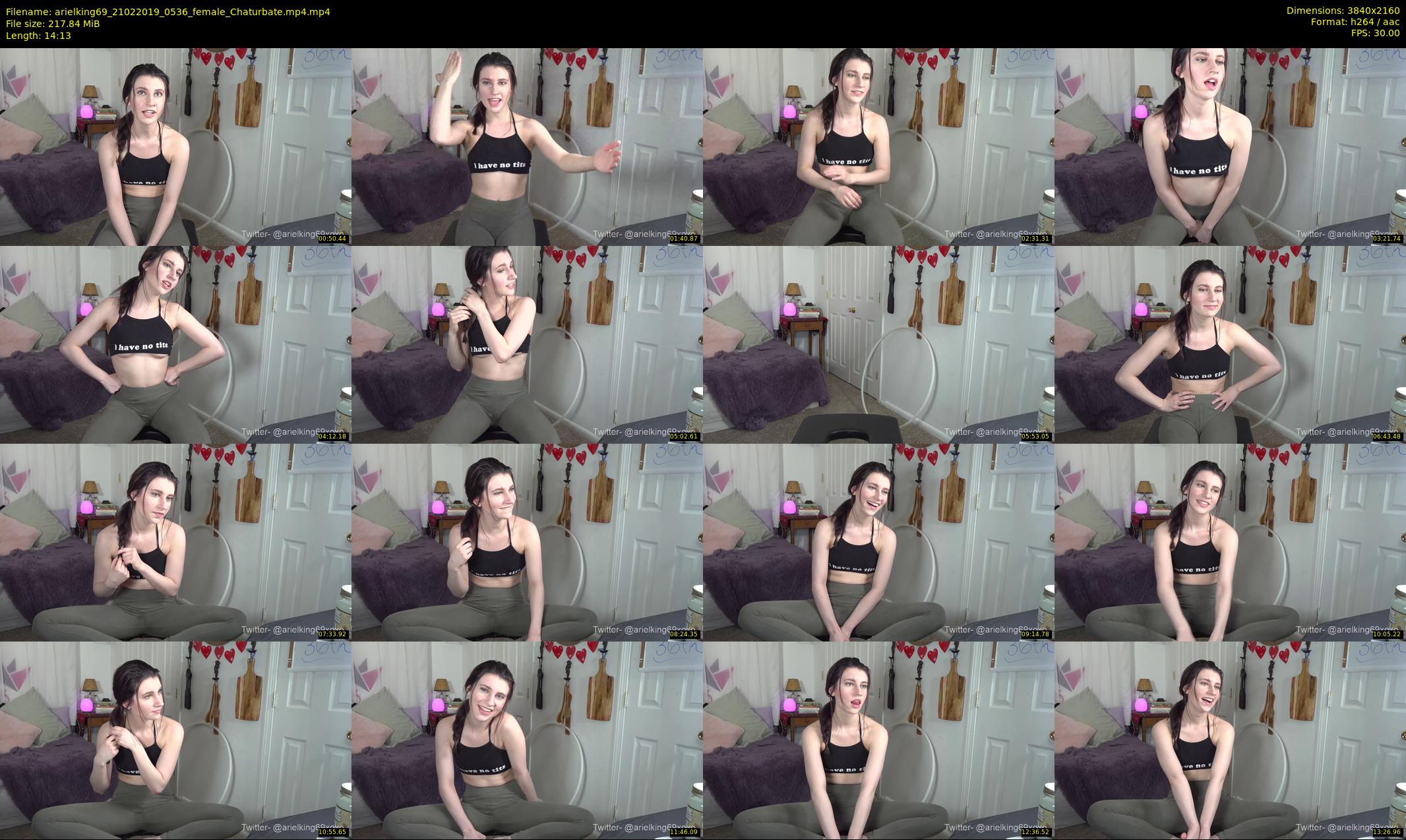 arielking69 — 15 minute Chaturbate female cam show recording, 4K, Feb 21, 2019