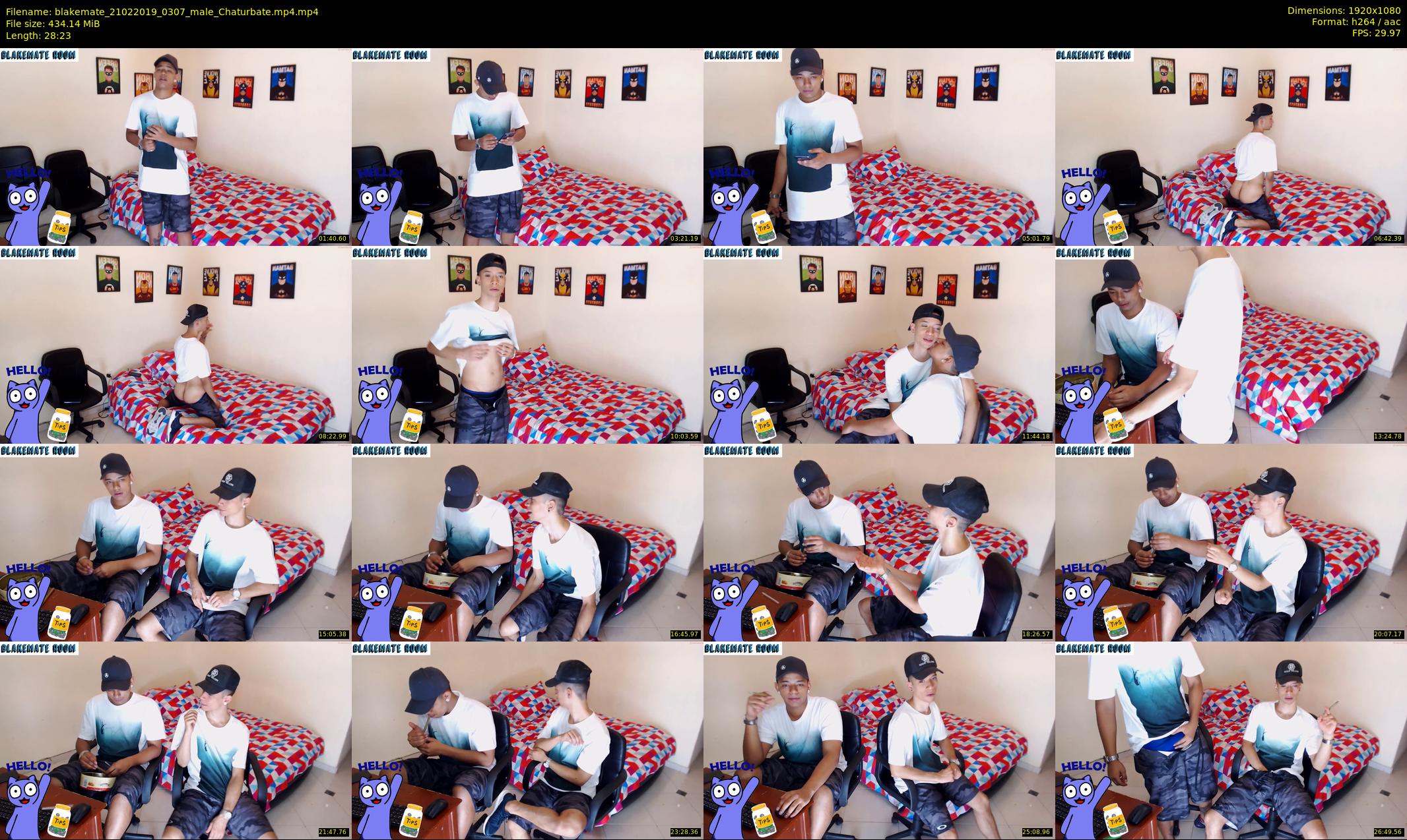 blakemate — 29 minute Chaturbate male cam show recording, 1080p, Feb 21, 2019
