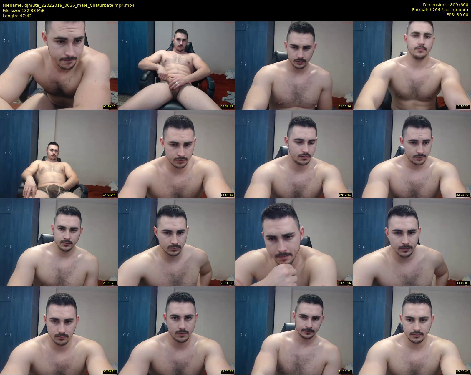 djmute — 48 minute Chaturbate male cam show recording, 480p, Feb 22, 2019