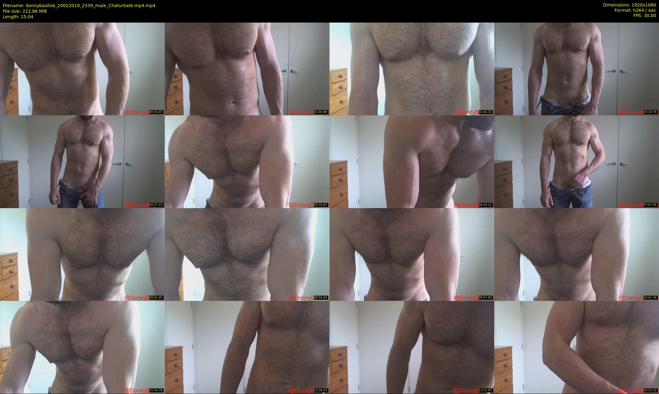 donnybasilisk — 16 minute Chaturbate male cam show recording, 1080p, Feb 20, 2019