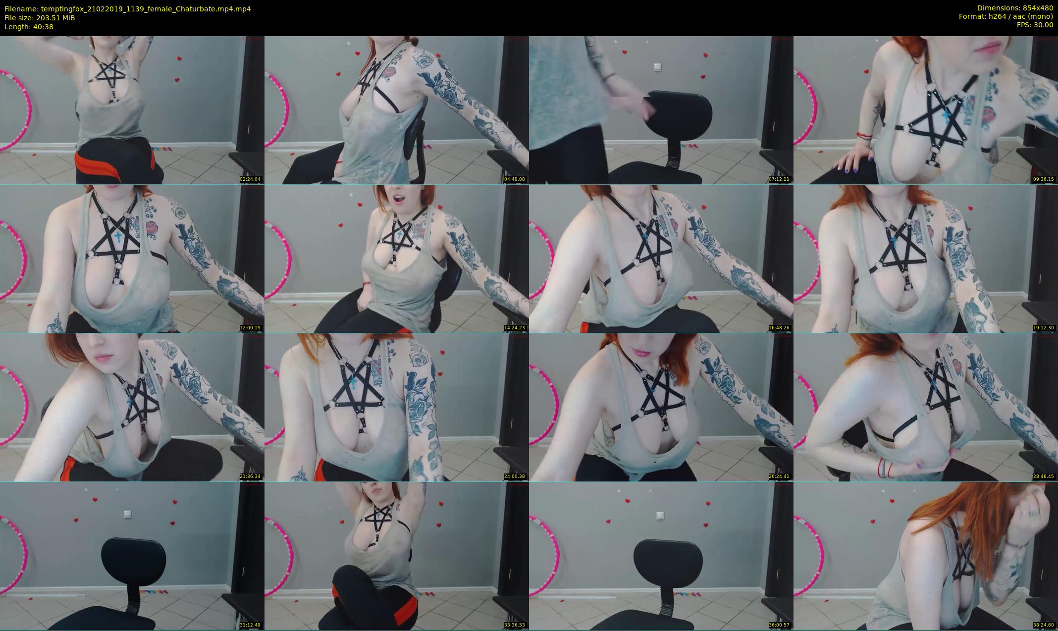 temptingfox — 41 minute Chaturbate female cam show recording, 480p, Feb 21, 2019