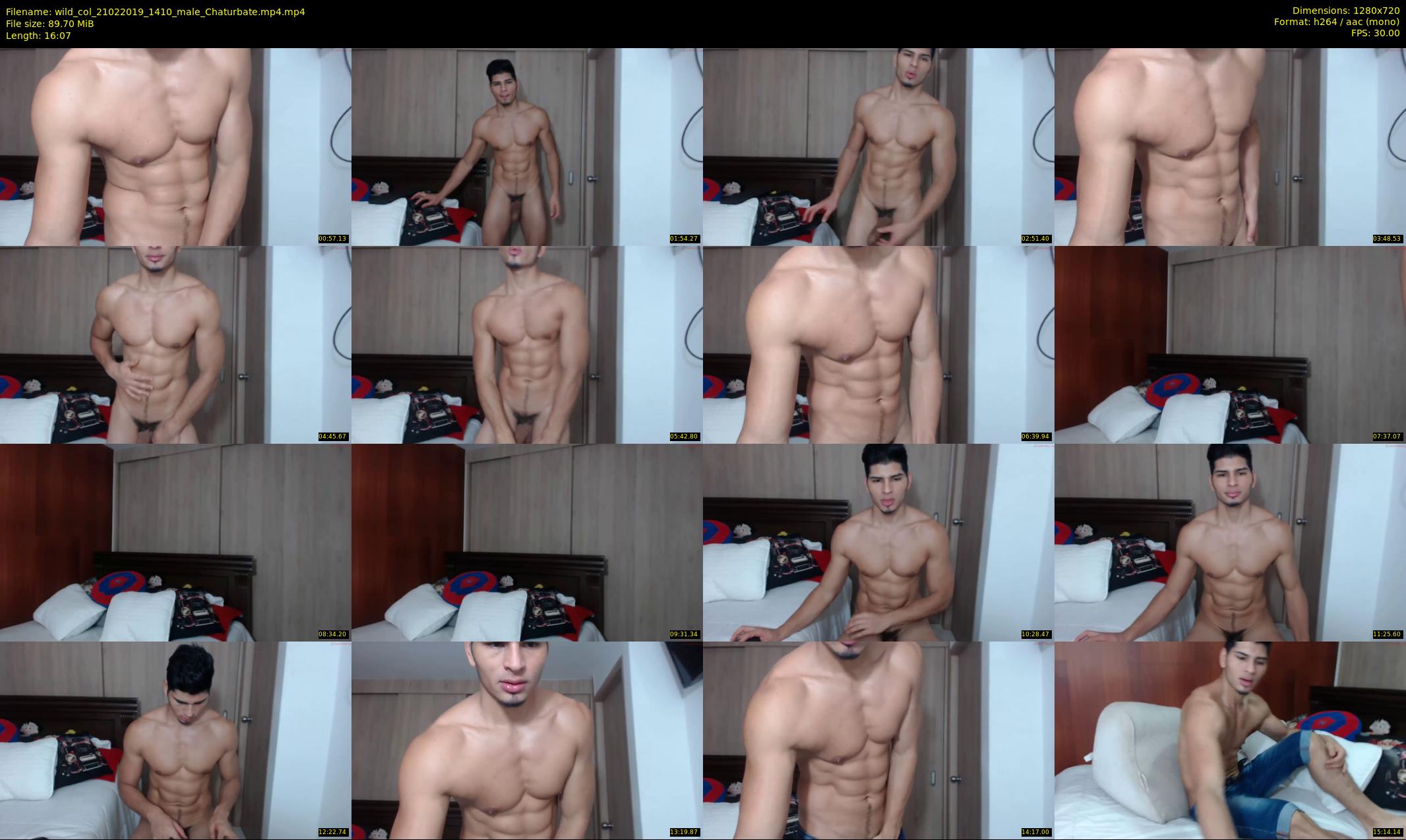 wild_col — 17 minute Chaturbate male cam show recording, 720p, Feb 21, 2019