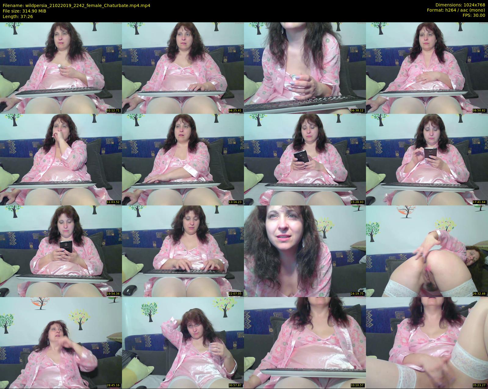 wildpersia — 38 minute Chaturbate female cam show recording, 720p, Feb 21, 2019