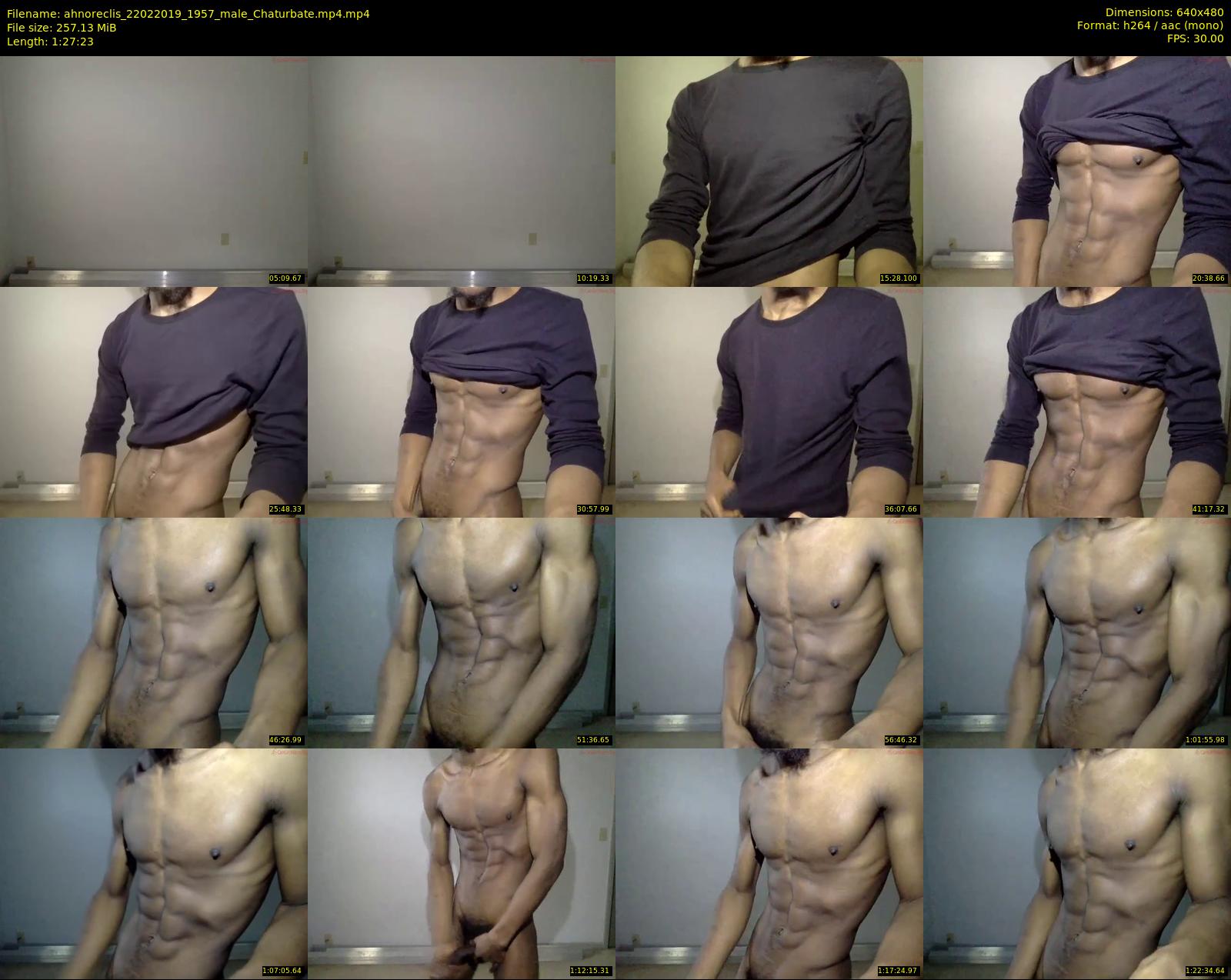 ahnoreclis — 88 minute Chaturbate male cam show recording, 480p, Feb 22, 2019