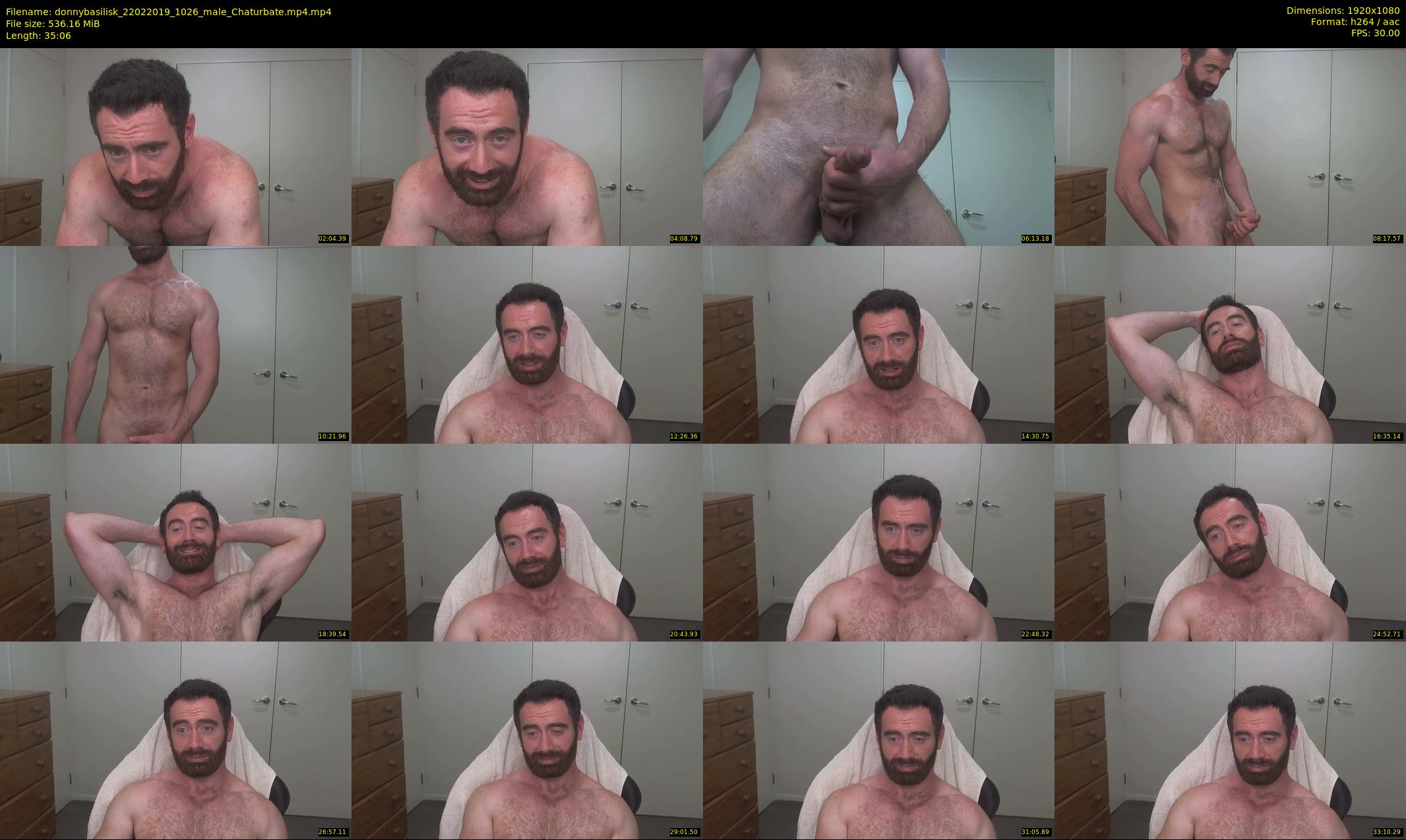 donnybasilisk — 36 minute Chaturbate male cam show recording, 1080p, Feb 22, 2019