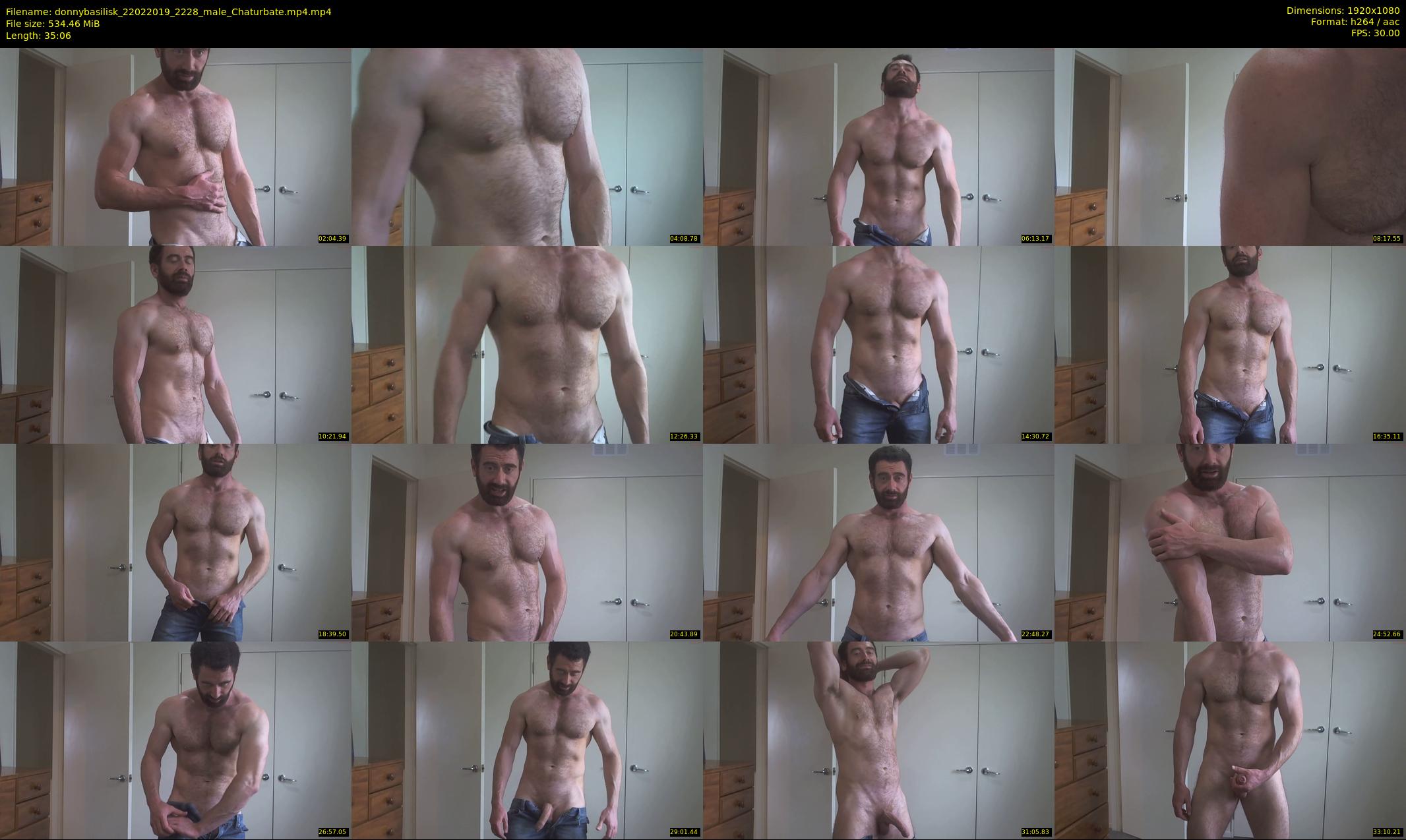 donnybasilisk — 36 minute Chaturbate male cam show recording, 1080p, Feb 22, 2019