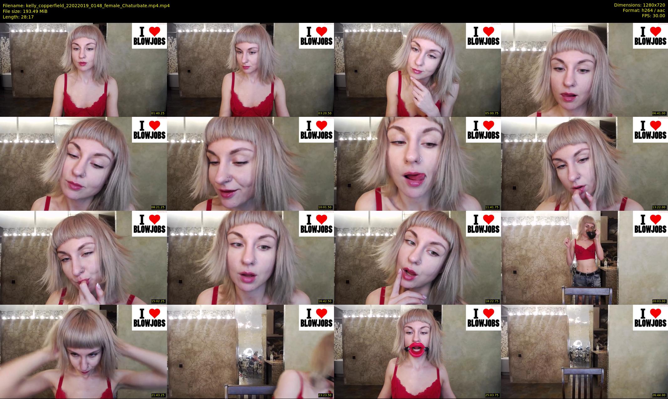 kelly_copperfield — 29 minute Chaturbate female cam show recording, 720p, Feb 22, 2019