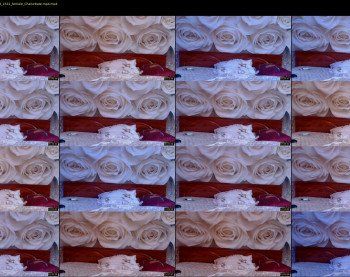 charming_girls — 19 minute Chaturbate female cam show recording, 720p, Feb 23, 2019