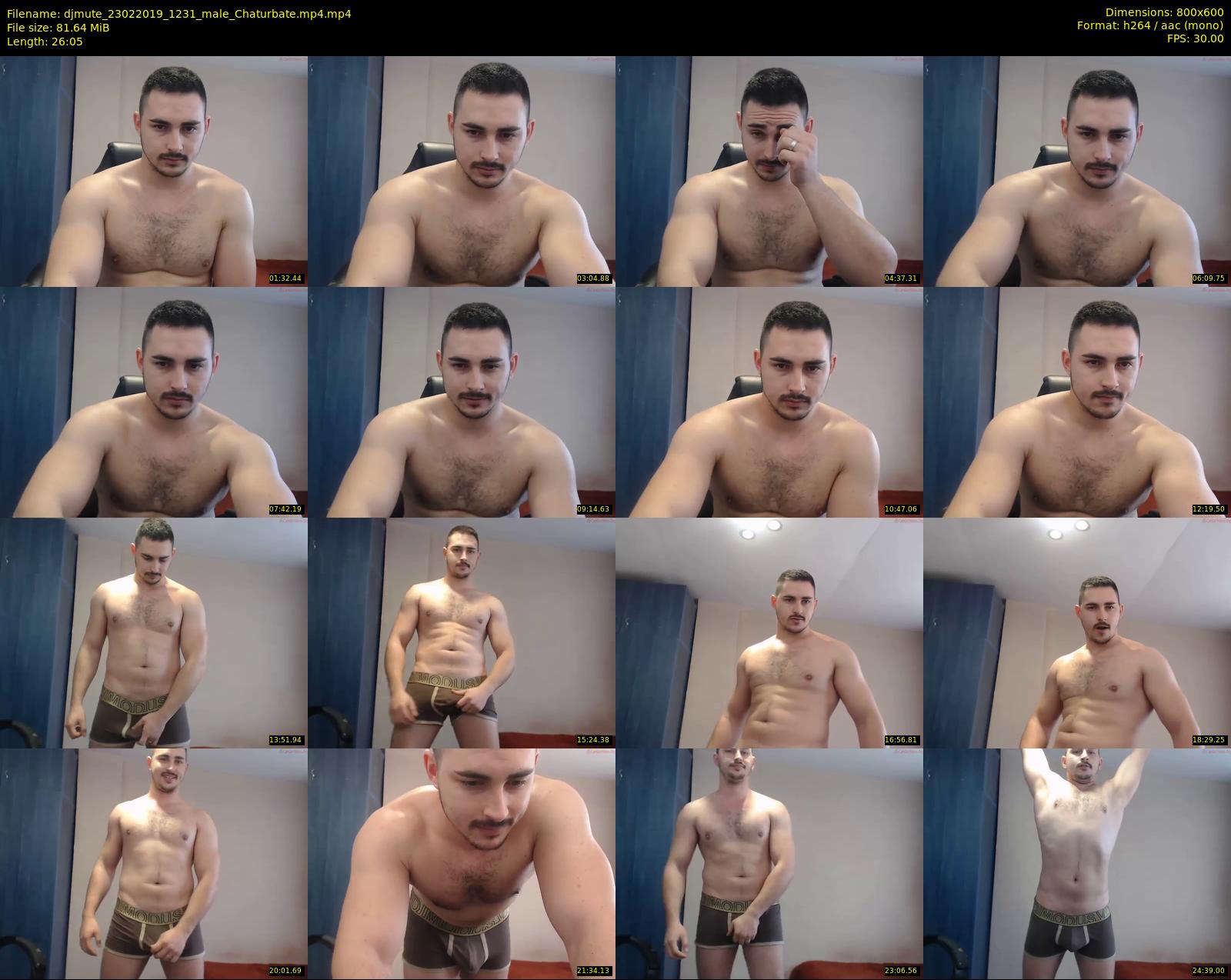 djmute — 27 minute Chaturbate male cam show recording, 480p, Feb 23, 2019