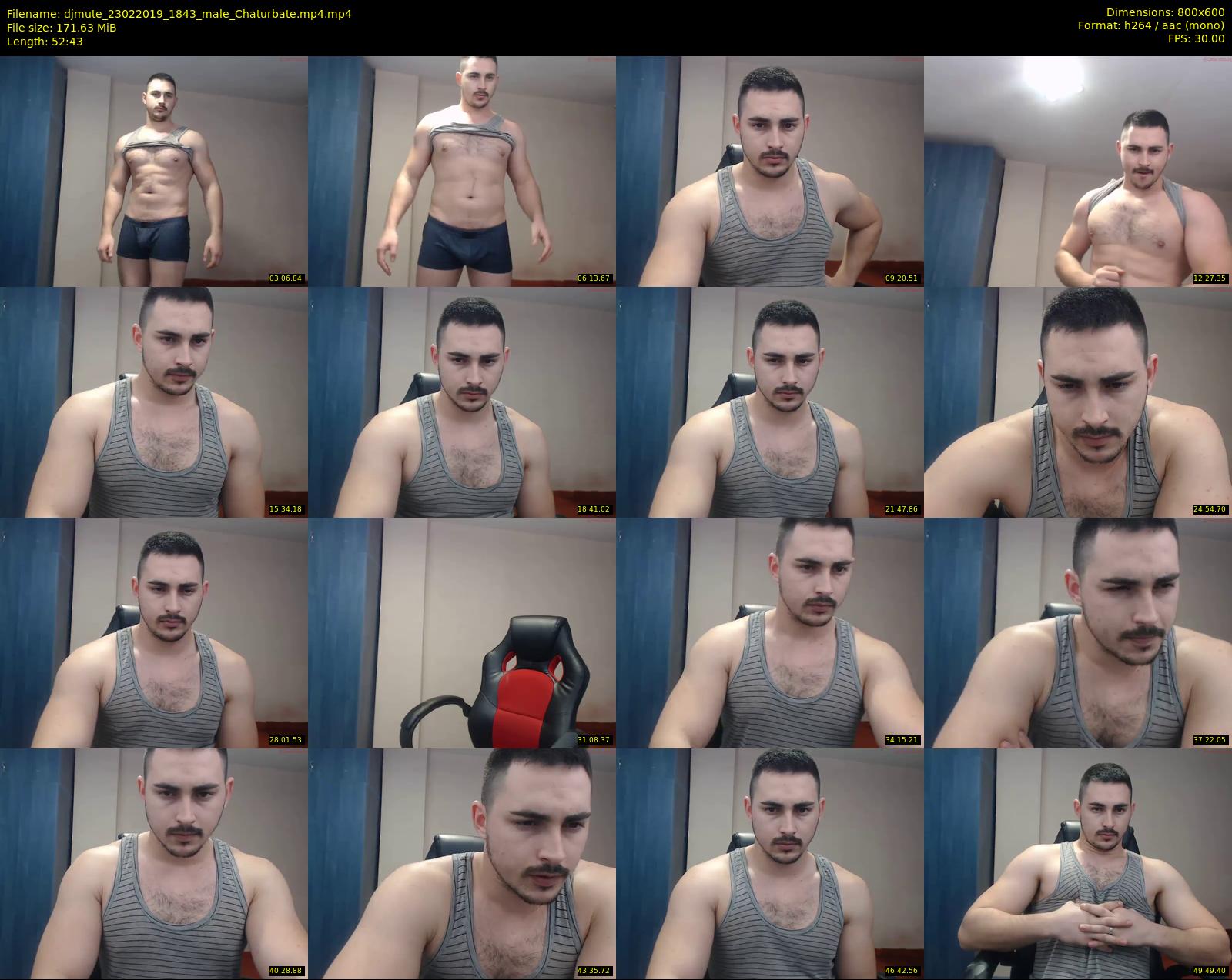 djmute — 53 minute Chaturbate male cam show recording, 480p, Feb 23, 2019
