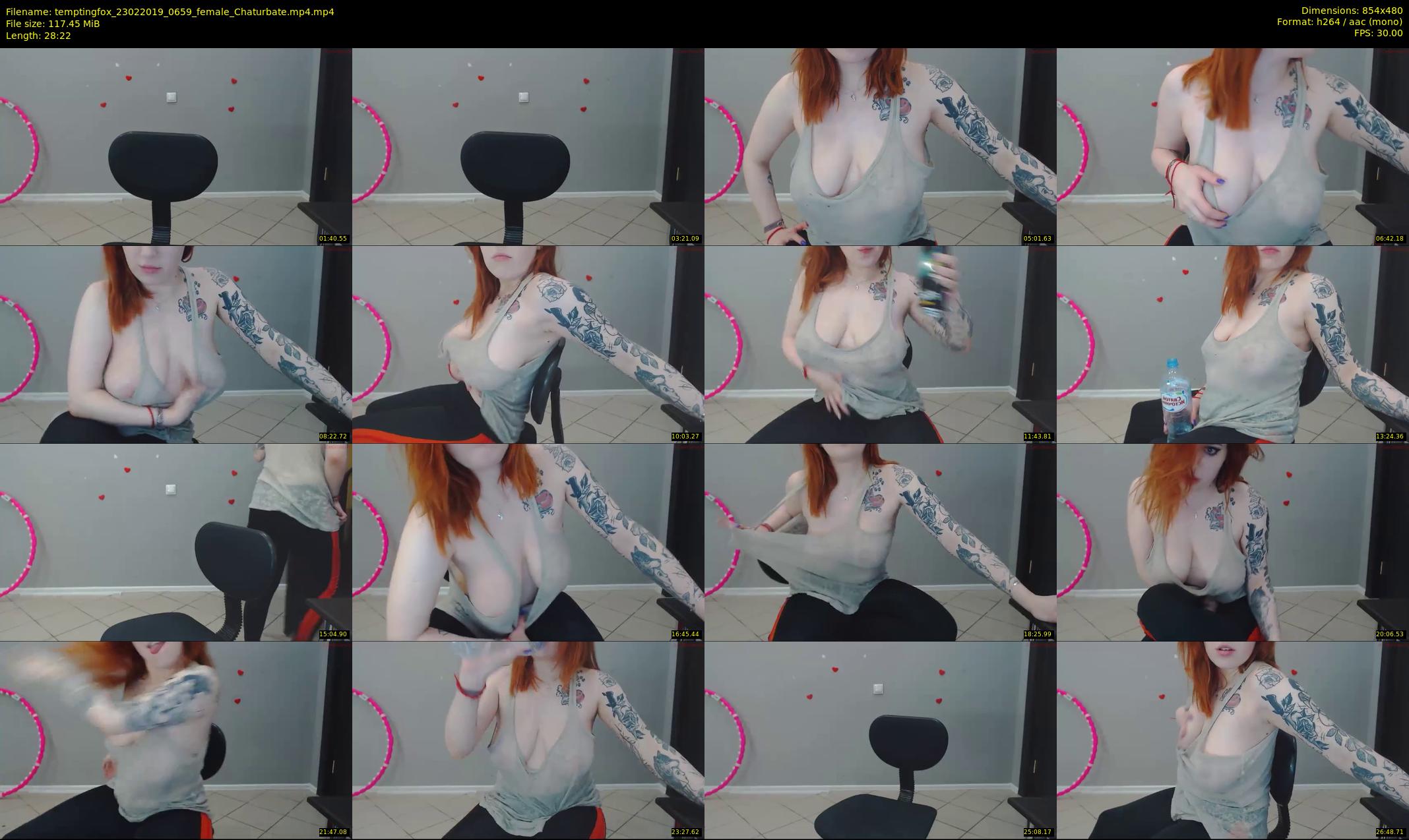 temptingfox — 29 minute Chaturbate female cam show recording, 480p, Feb 23, 2019