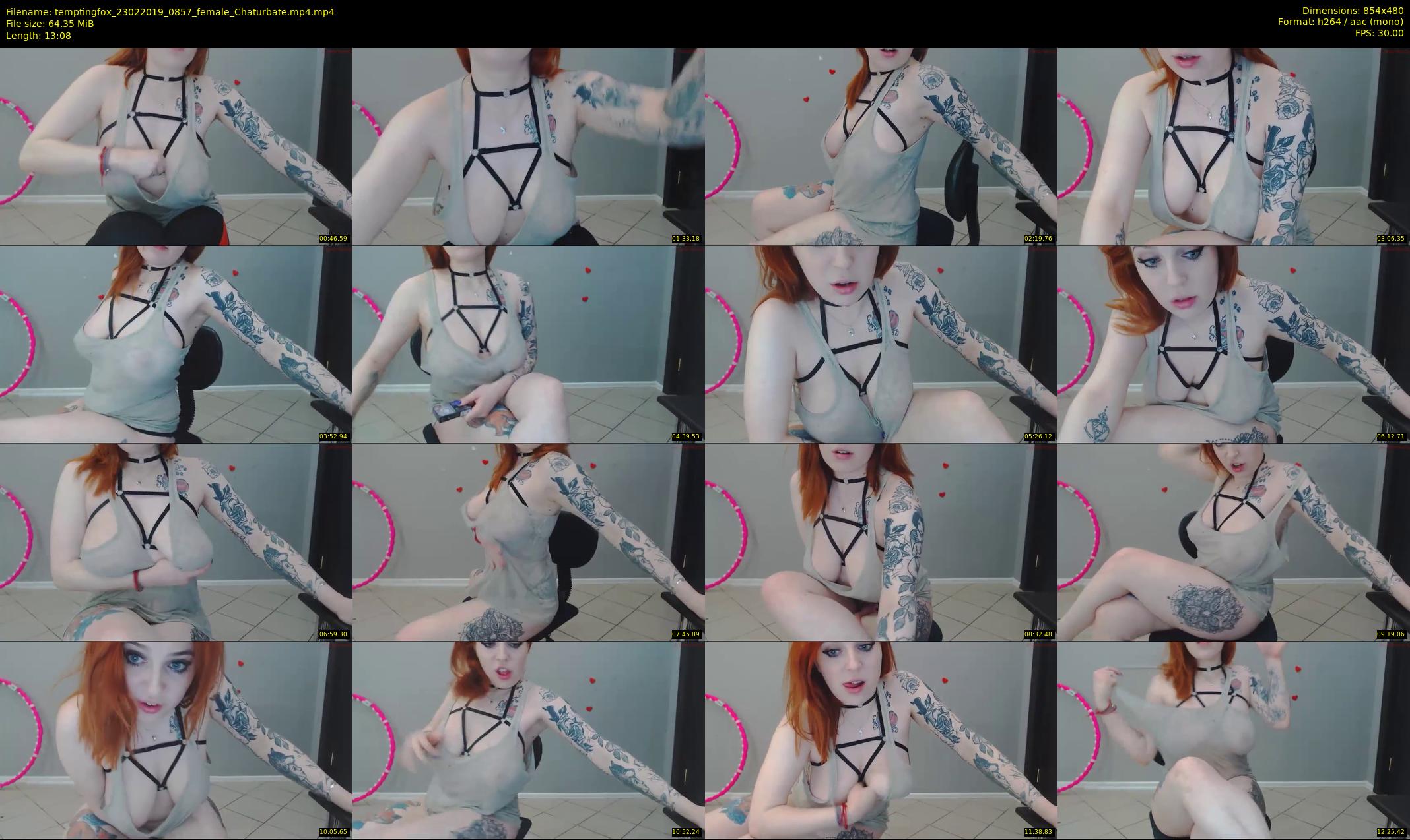 temptingfox — 14 minute Chaturbate female cam show recording, 480p, Feb 23, 2019