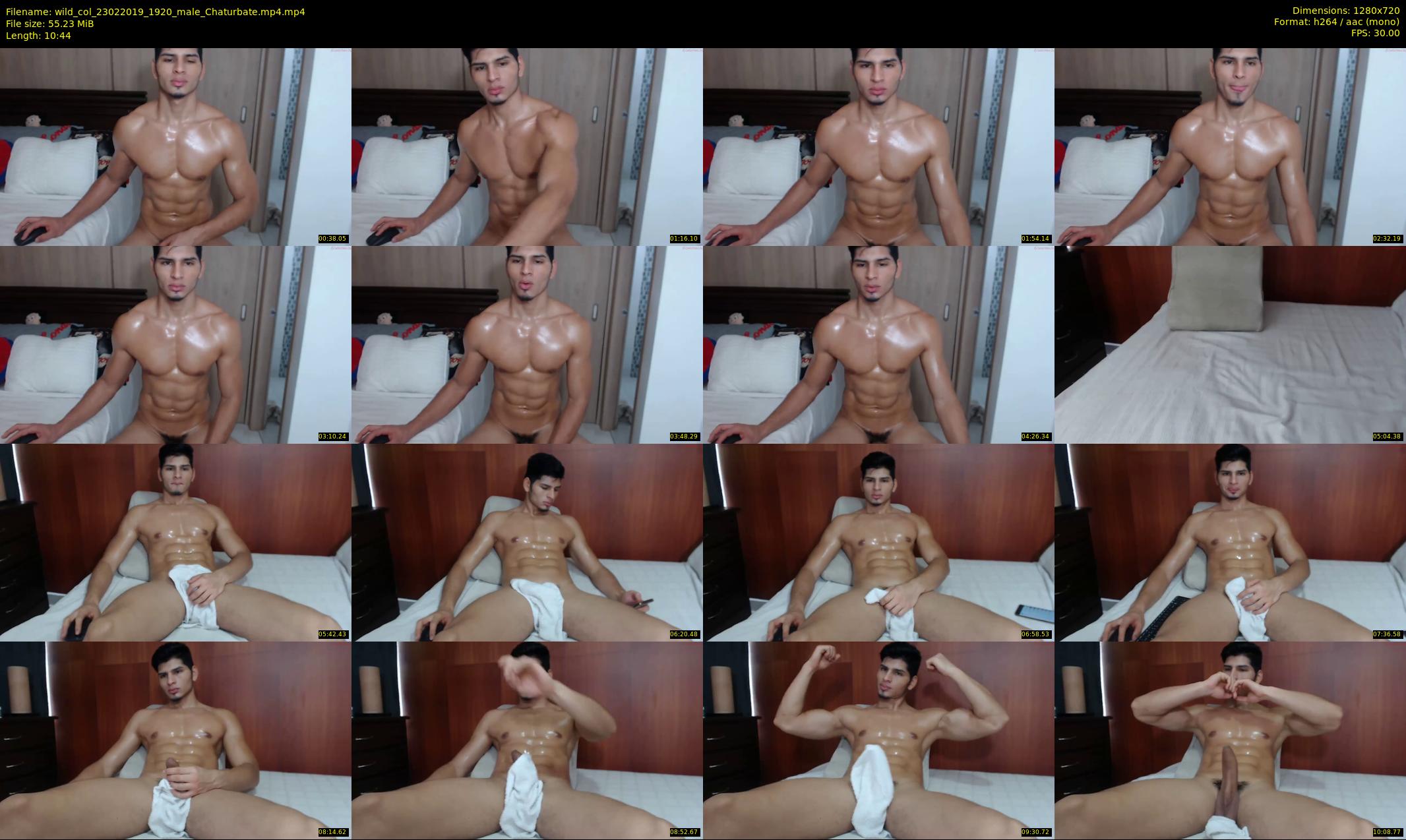 wild_col — 11 minute Chaturbate male cam show recording, 720p, Feb 23, 2019