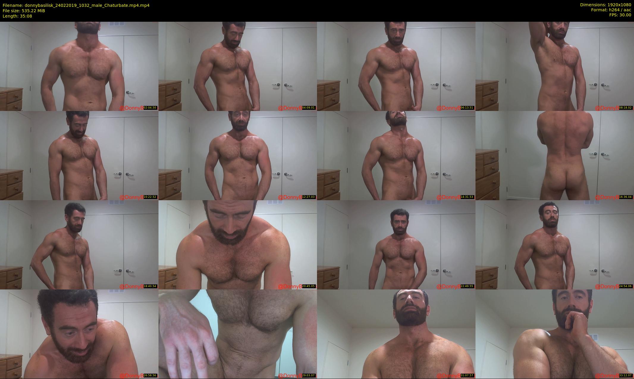 donnybasilisk — 36 minute Chaturbate male cam show recording, 1080p, Feb 24, 2019