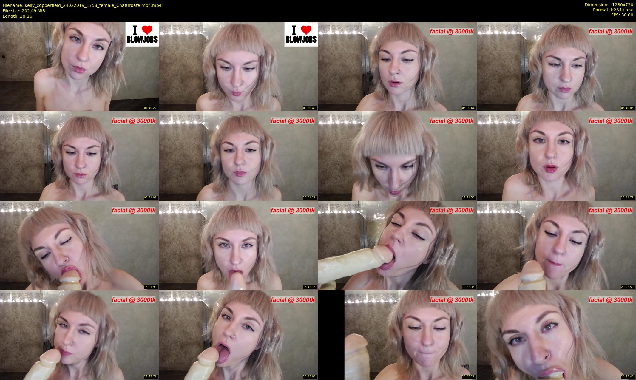 kelly_copperfield — 29 minute Chaturbate female cam show recording, 720p, Feb 24, 2019