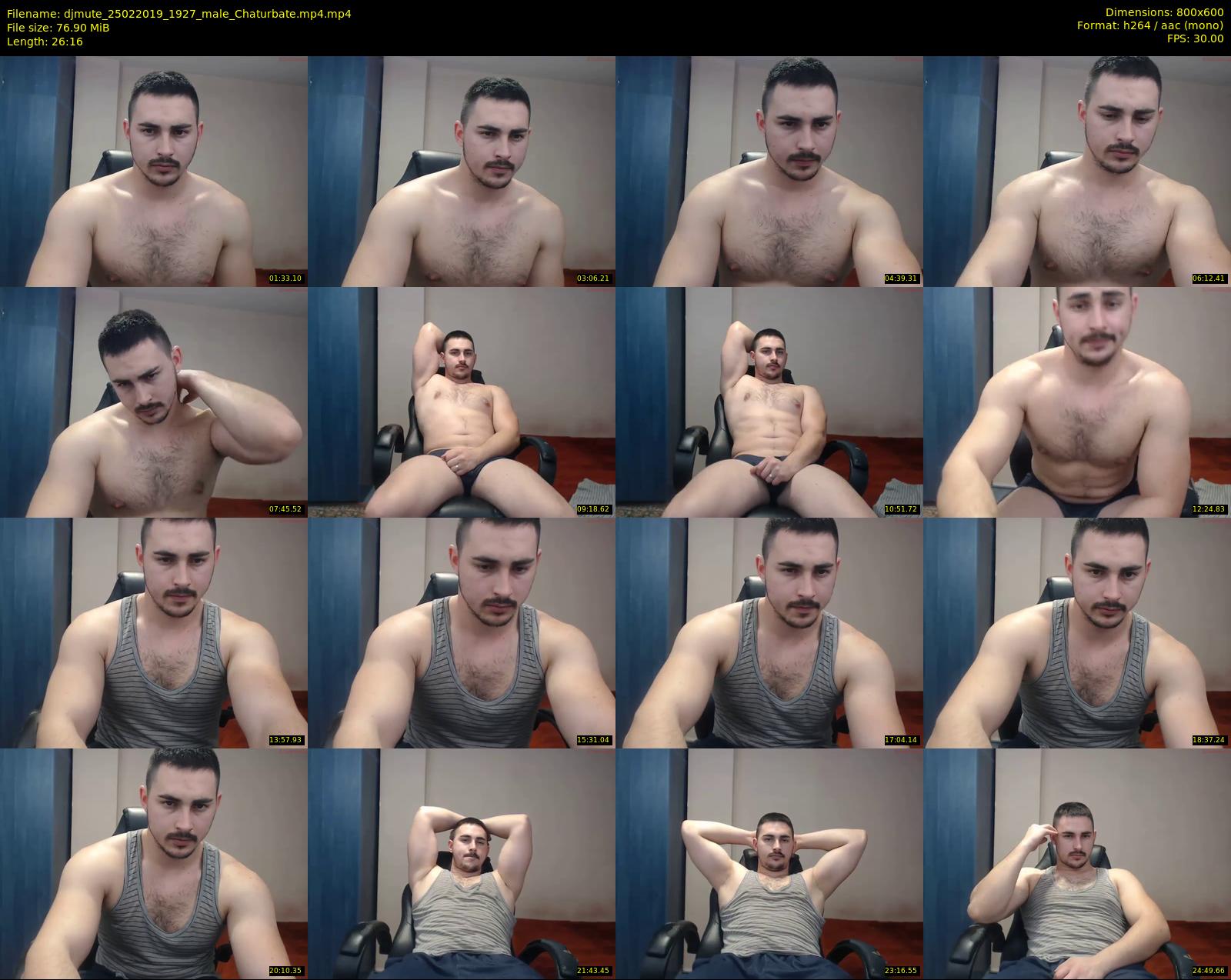 djmute — 27 minute Chaturbate male cam show recording, 480p, Feb 25, 2019