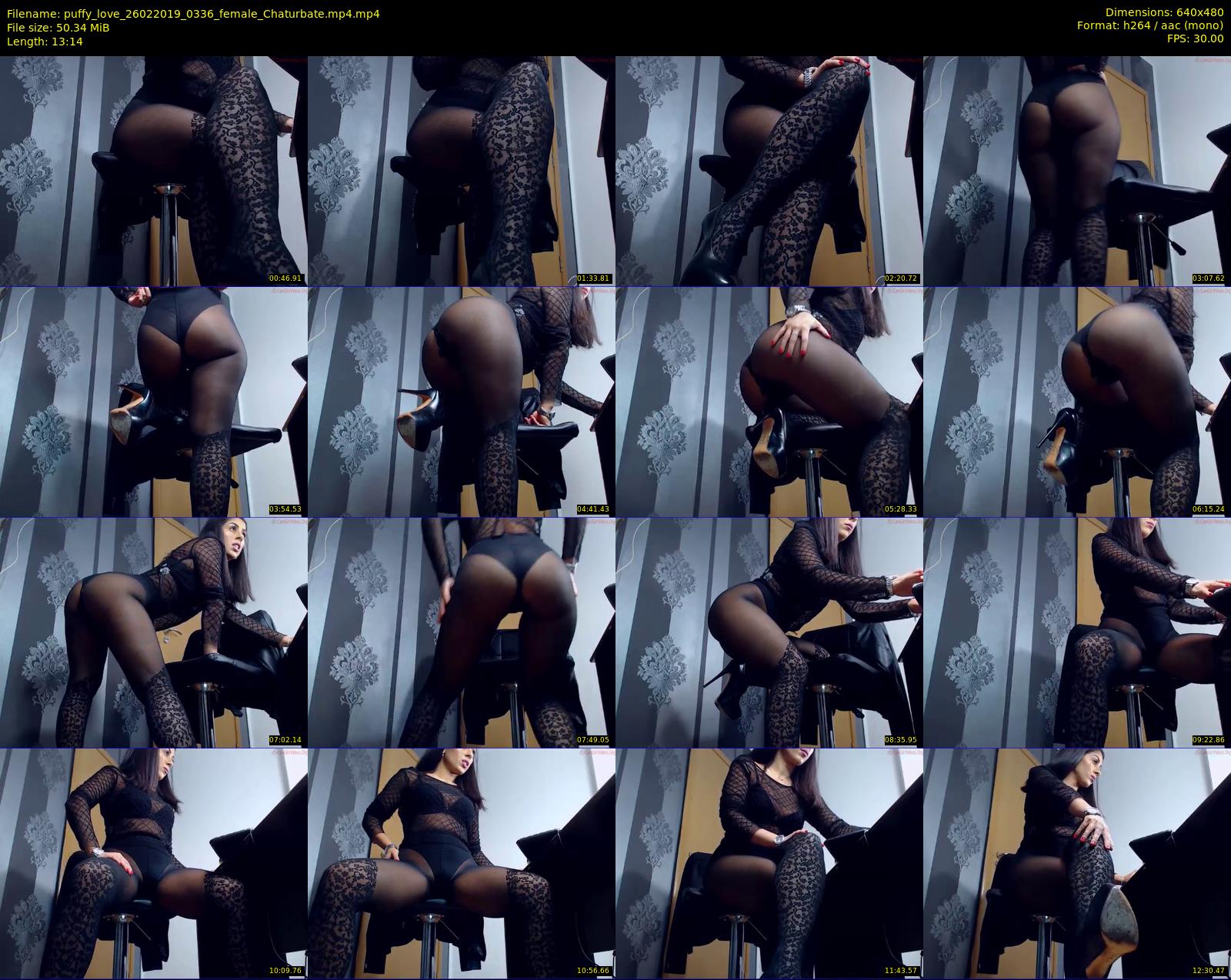 puffy_love — 14 minute Chaturbate female cam show recording, 480p, Feb 26, 2019