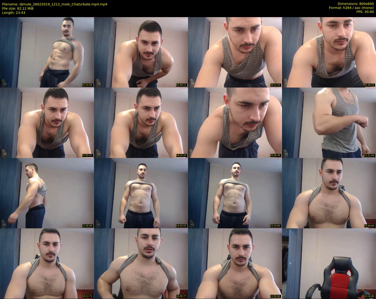 djmute — 24 minute Chaturbate male cam show recording, 480p, Feb 26, 2019