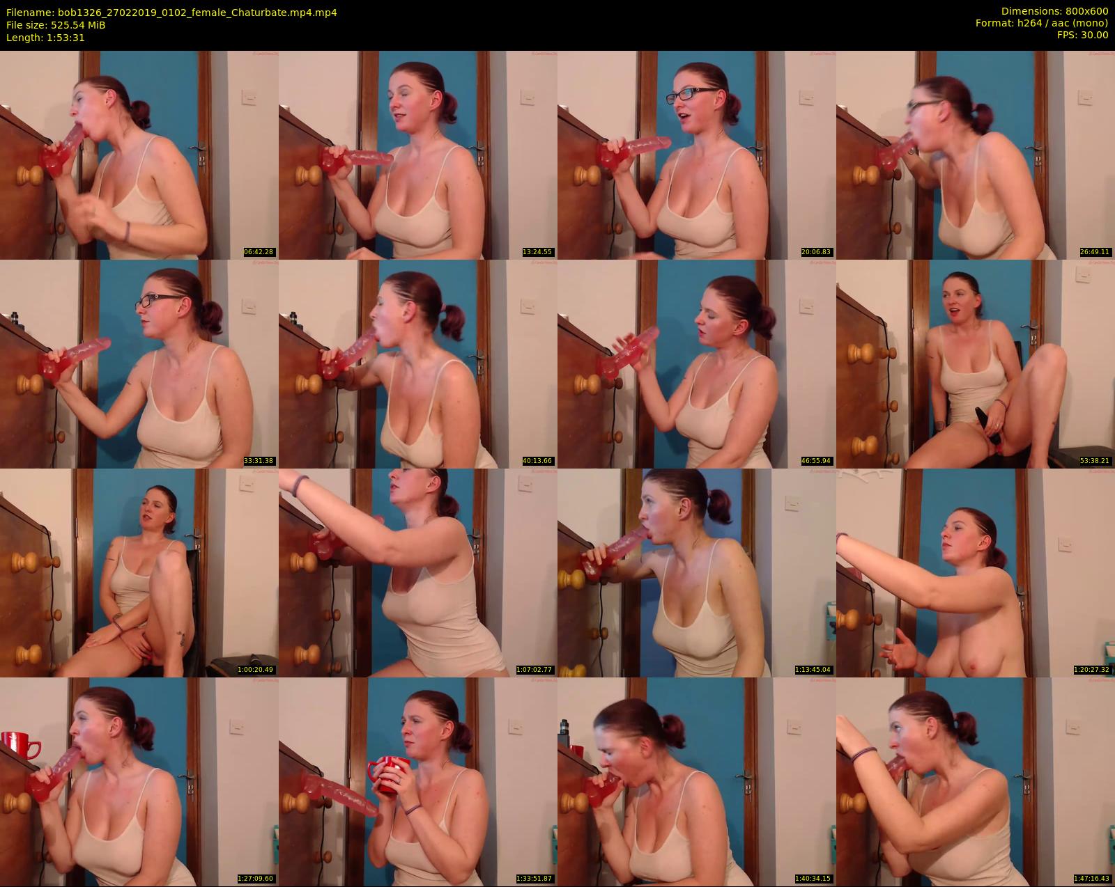 bob1326 — 114 minute Chaturbate female cam show recording, 480p, Feb 27, 2019