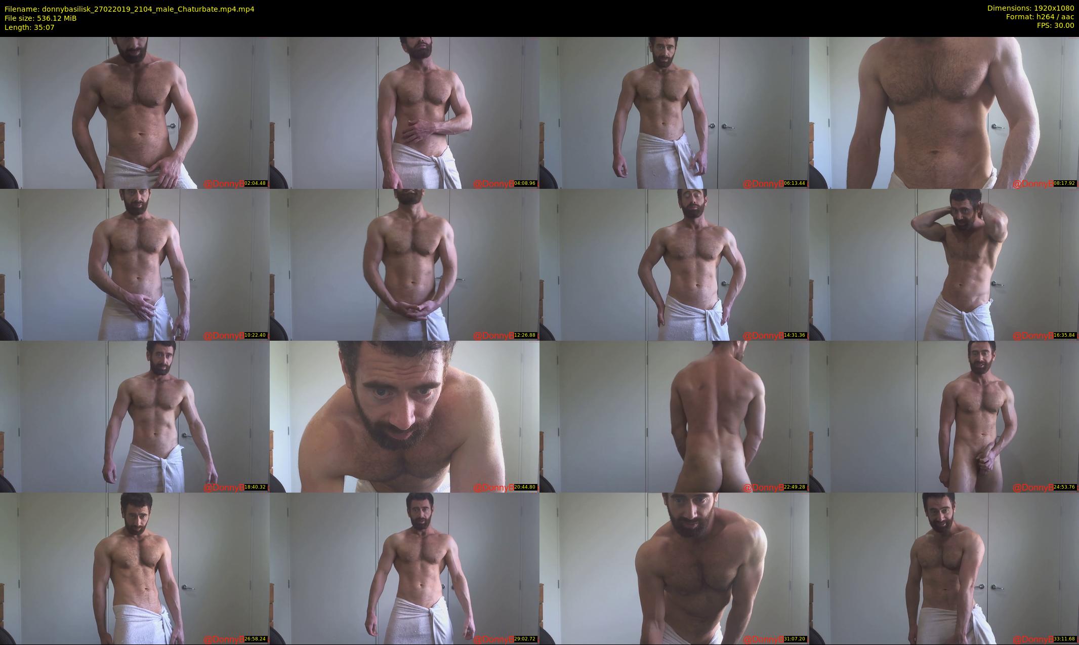 donnybasilisk — 36 minute Chaturbate male cam show recording, 1080p, Feb 27, 2019