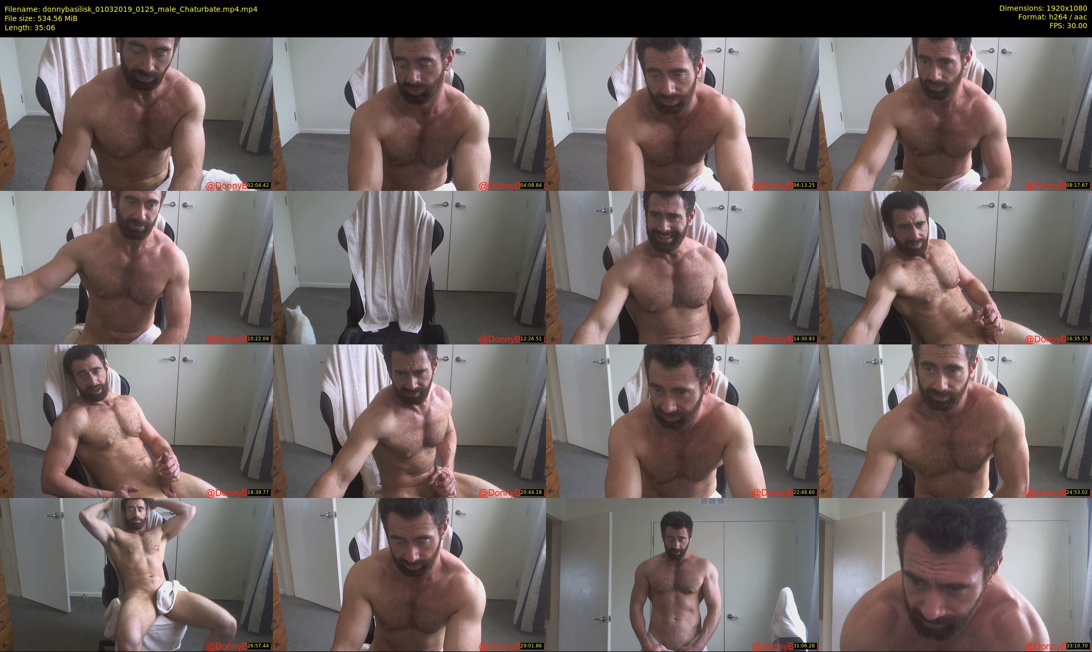 donnybasilisk — 36 minute Chaturbate male cam show recording, 1080p, Mar 1, 2019
