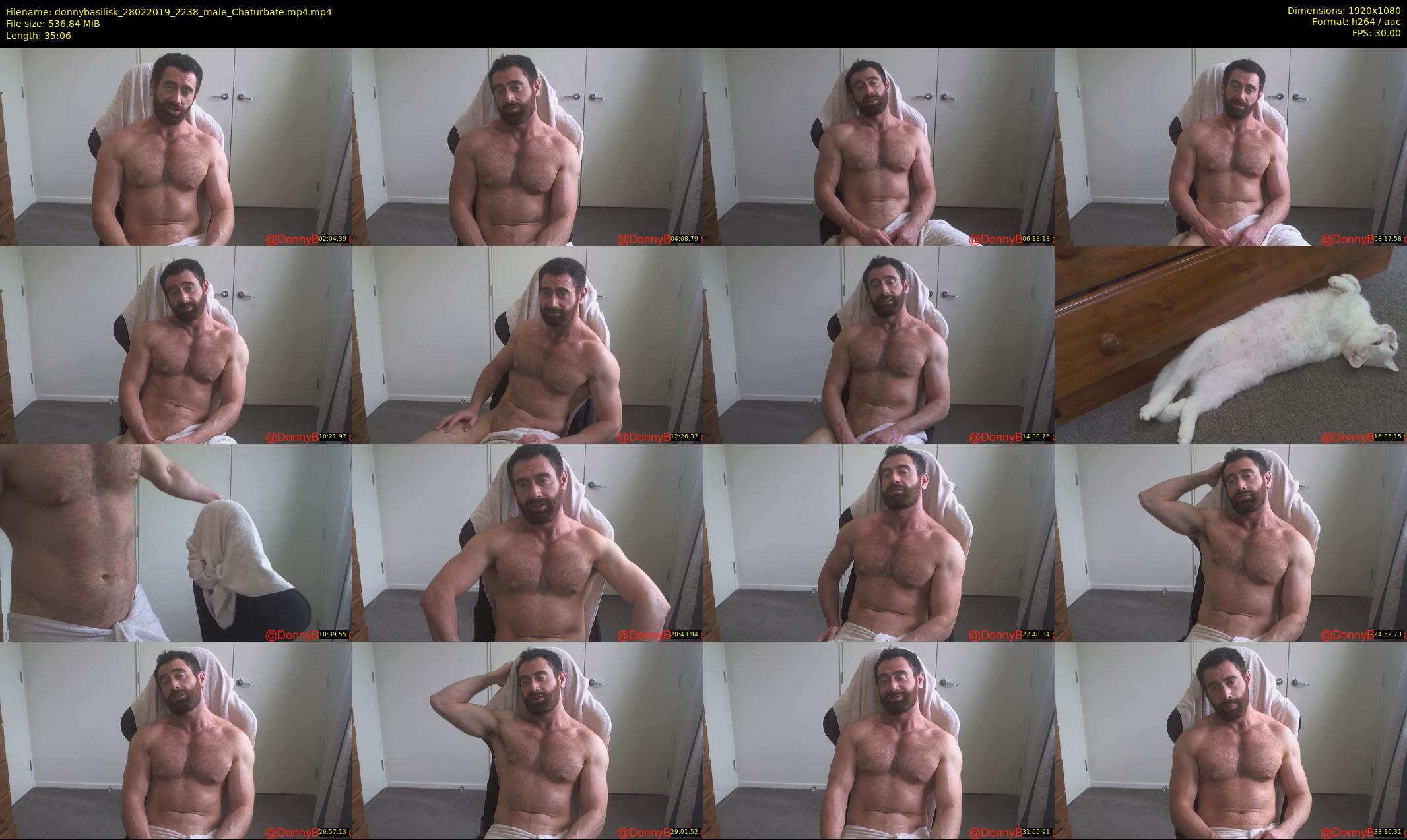 donnybasilisk — 36 minute Chaturbate male cam show recording, 1080p, Feb 28, 2019